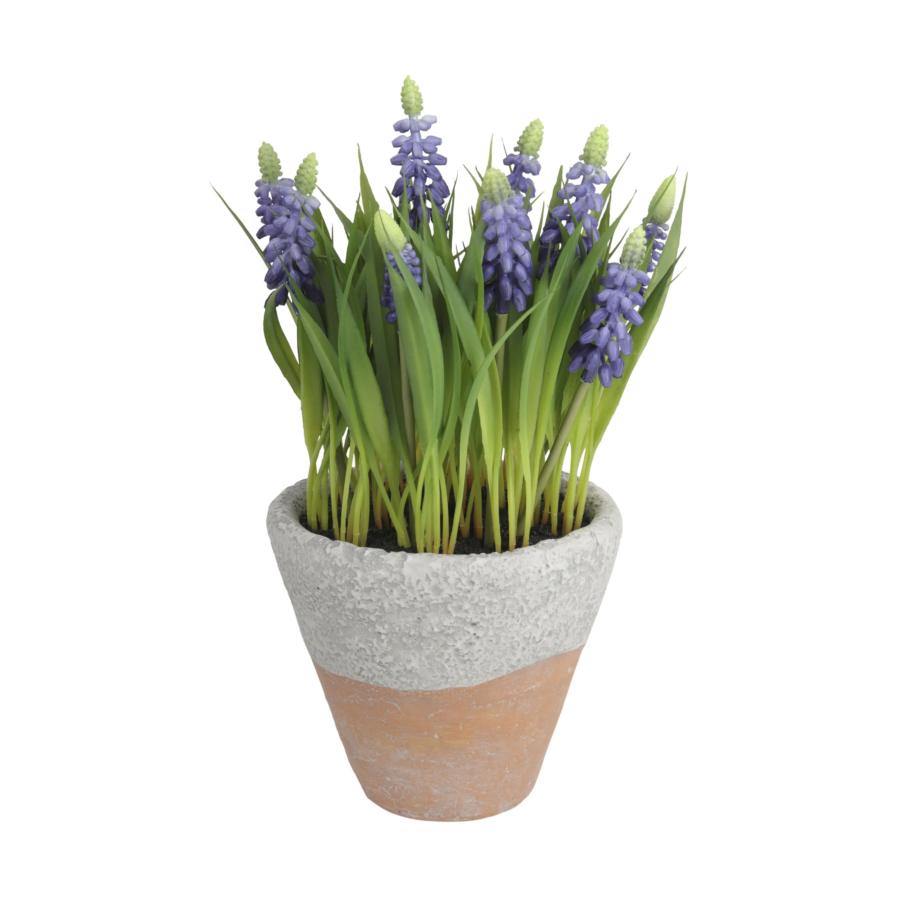 CASA Living Kunstige planter Kunstig Perlehyacint i Blå, 1