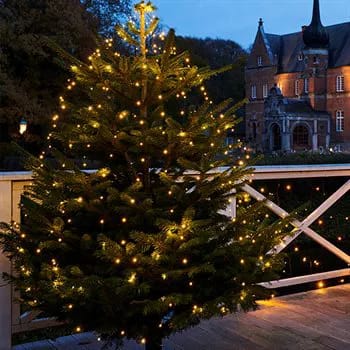 Sirius Lyskæder Knirke LED Lyskæde til juletræ i Klar/grøn, 1,8 meter, 3