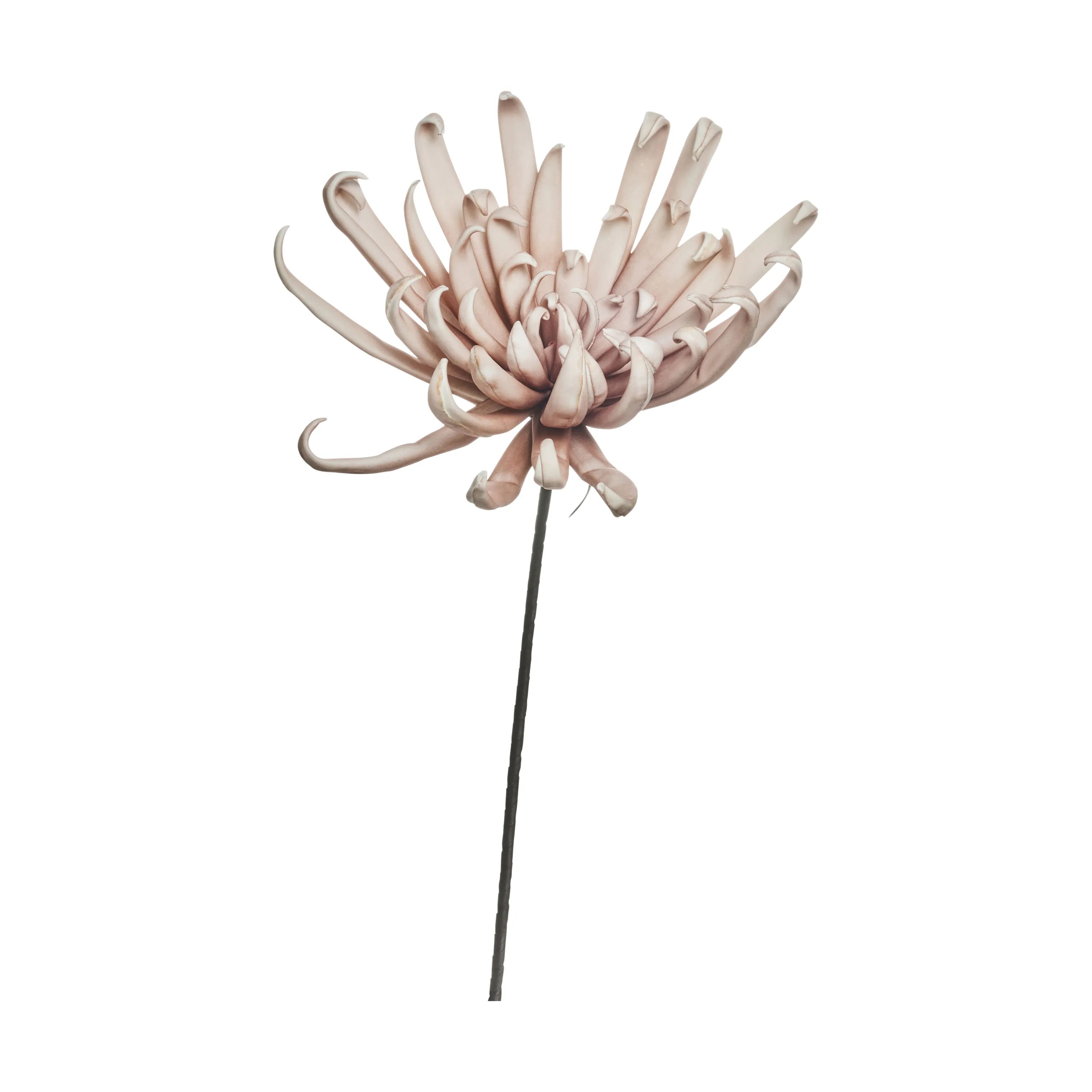 Lene Bjerre Kunstige blomster Happia dekorationsblomst i lyserød, 25 cm, 1