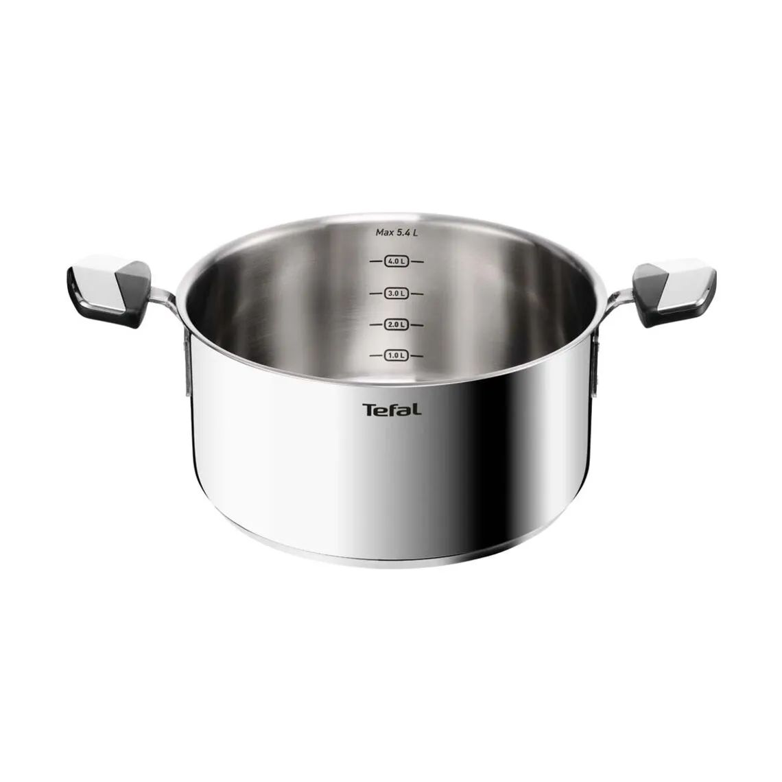 Tefal Gryder Emotion Plus SS Uncoated Gryde i 4.5 L, 5