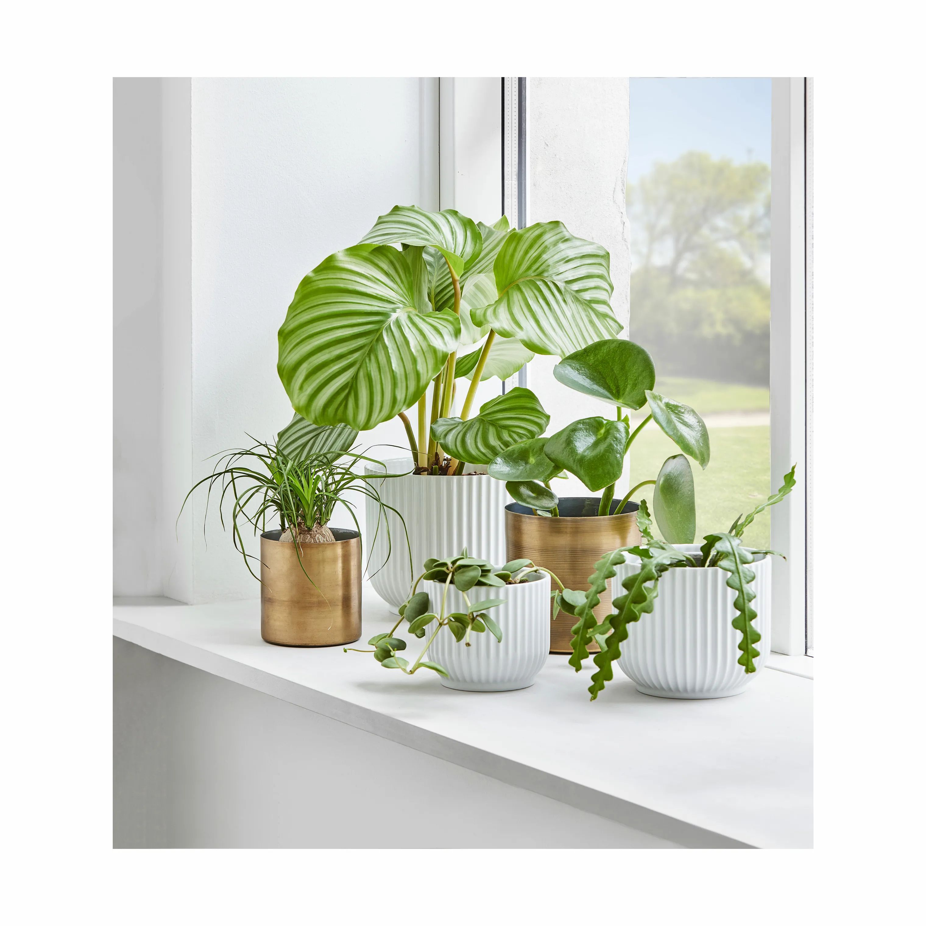 Lyngby Porcelæn Urtepotteskjulere Flowerpot Urtepotteskjuler i Hvid, 10,5 cm, 4
