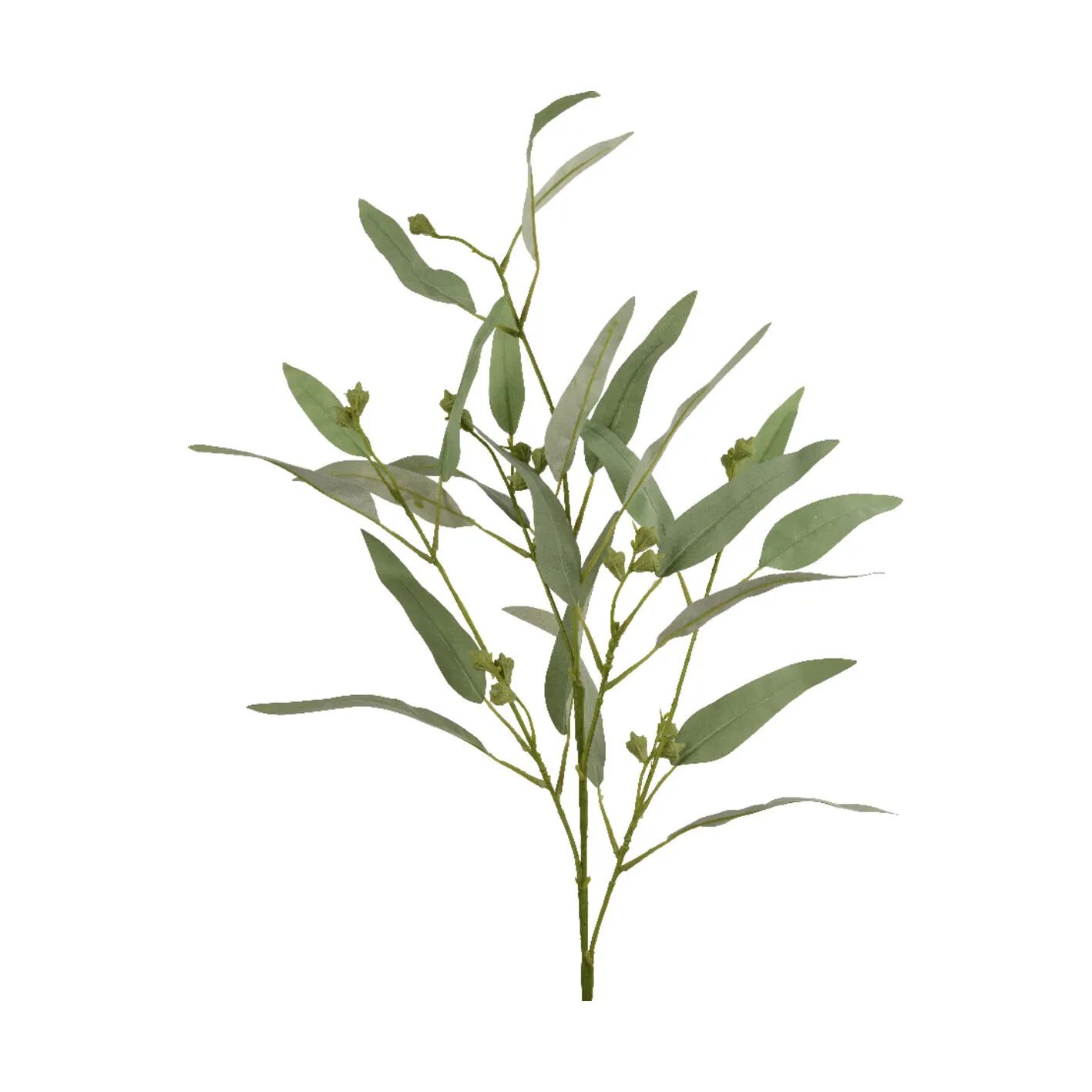 CASA Living Kunstige blomster Kunstig blomst - Eukalyptusgren i 90 cm, 1