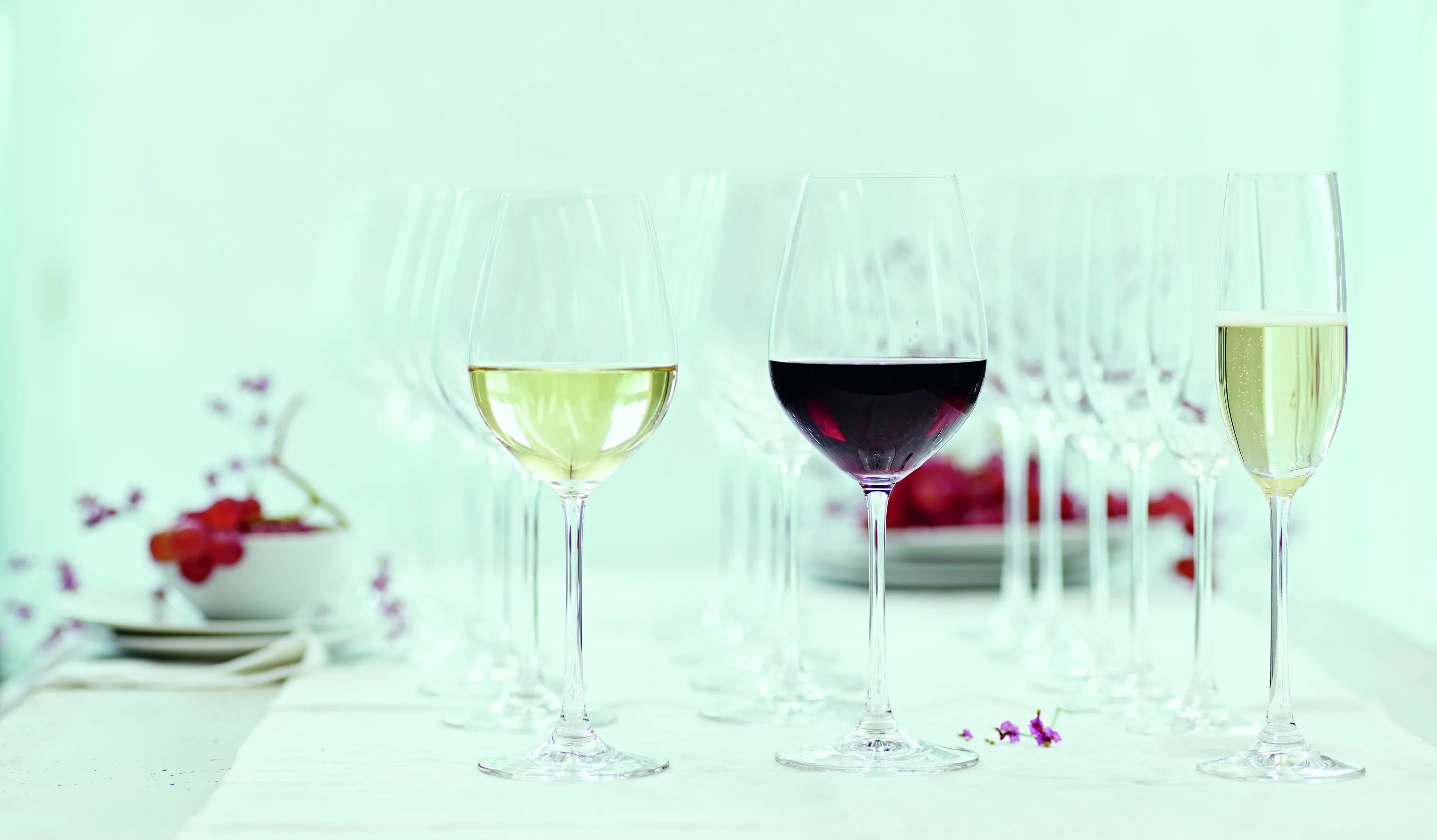 Spiegelau Hvidvinsglas Salute Hvidvinsglas - 4 stk. i Klar, 46.5 cl, 2