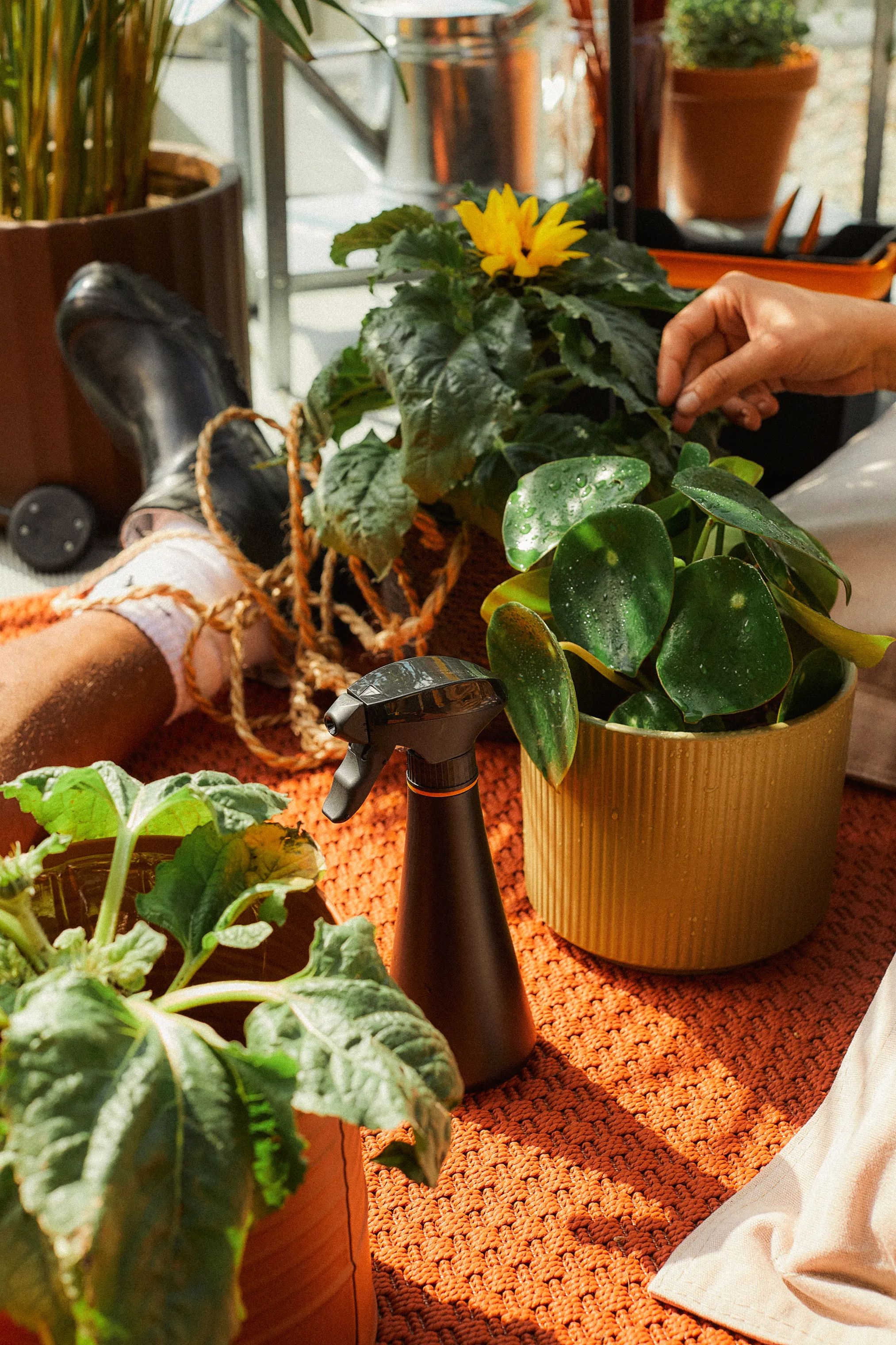 Fiskars Garden Haveredskaber Plant Care Forstøver i Sort/orange, 2