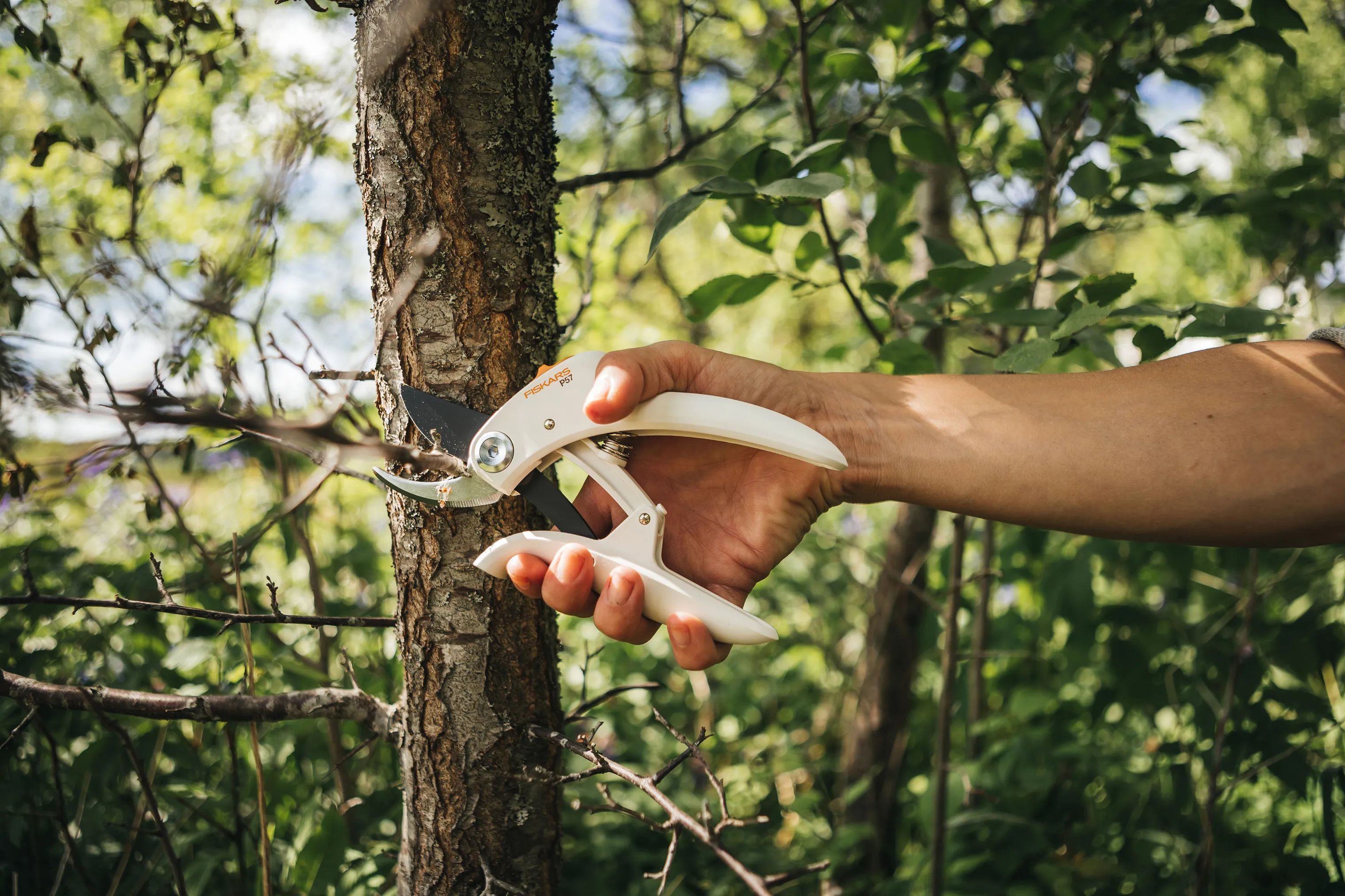 Fiskars Garden Haveredskaber White Beskæresaks i Hvid, 2