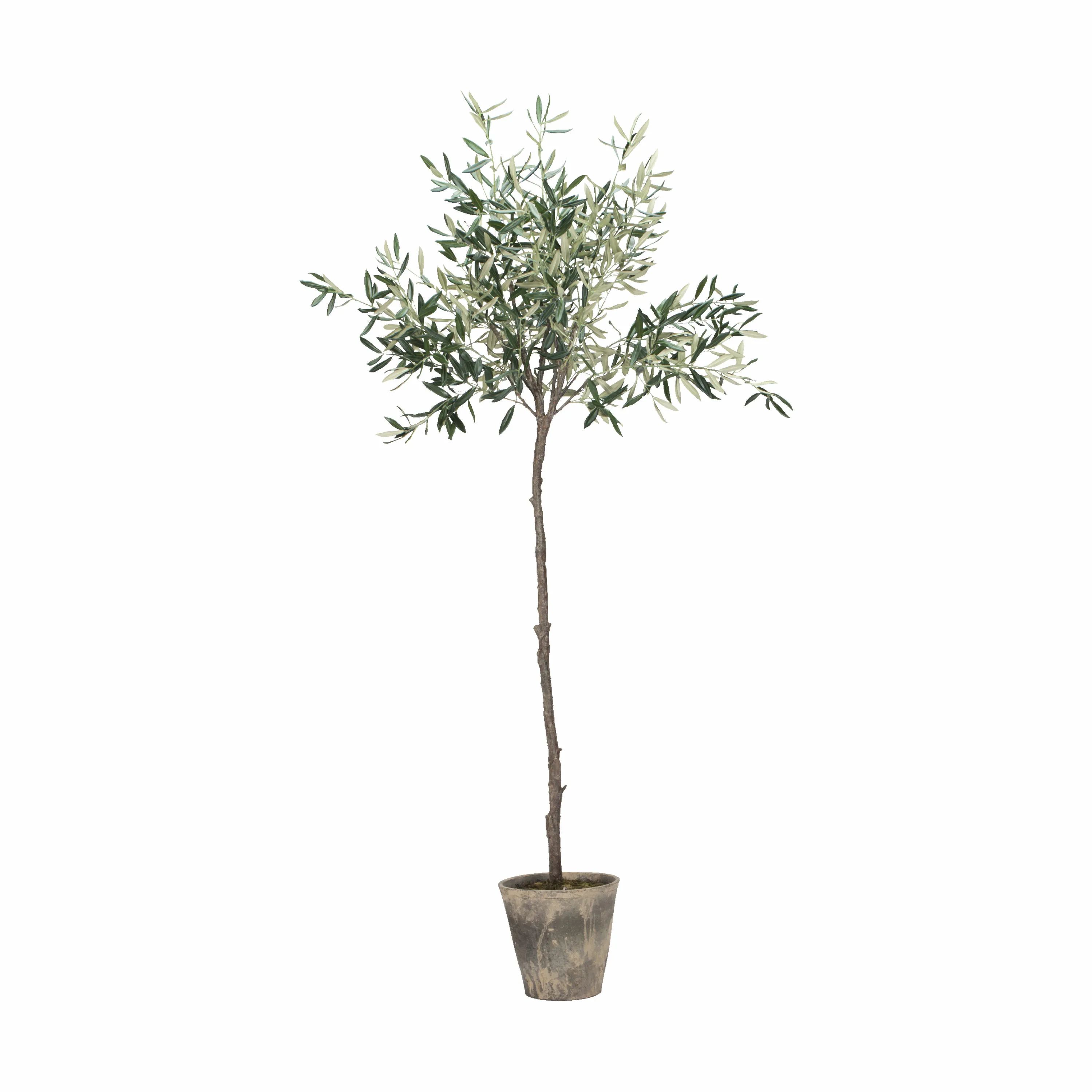 Lene Bjerre Kunstige blomster Flora Kunstig Oliventræ i 160 cm, 1