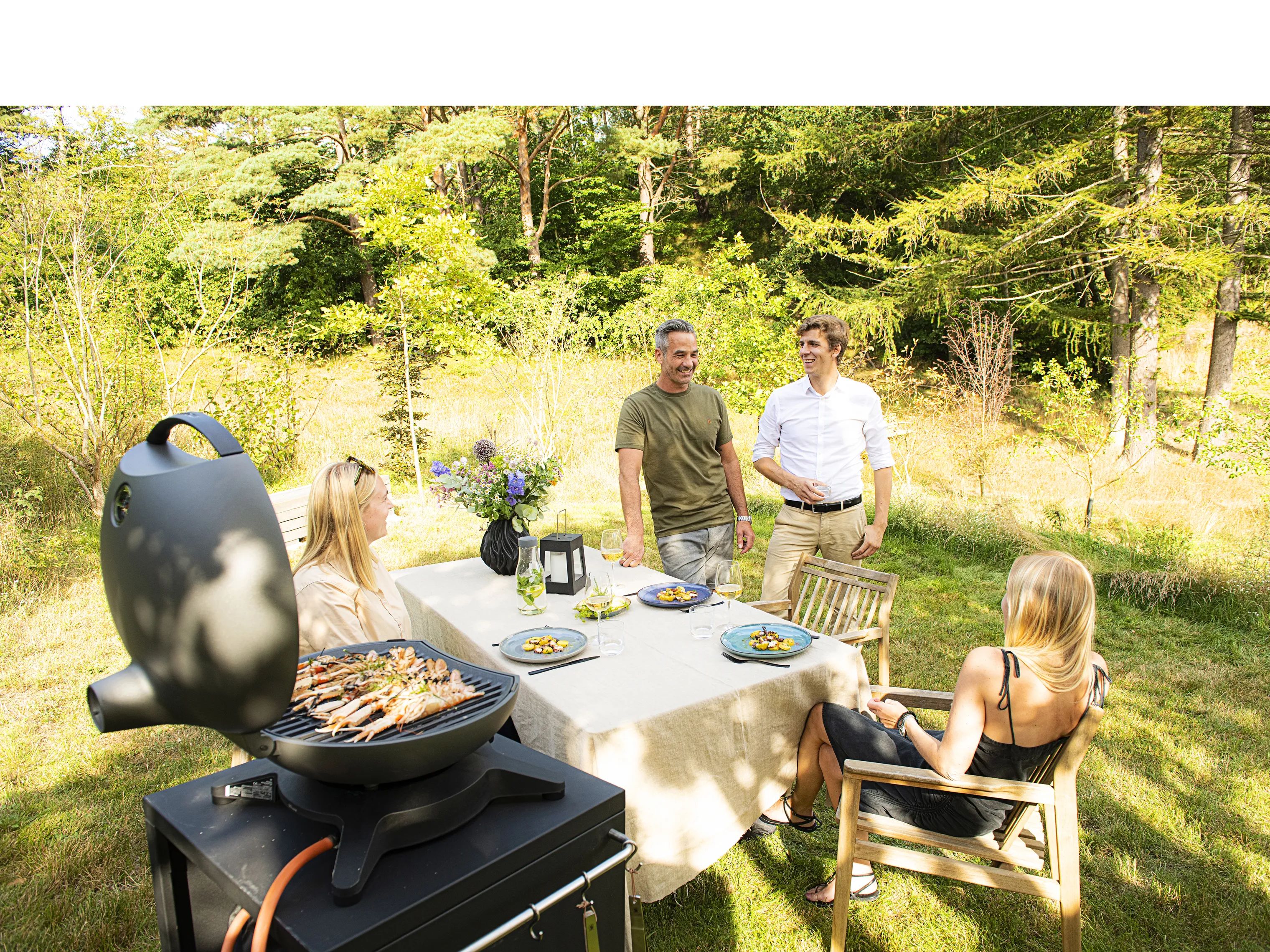 Morsø Gasgrill Forno Piccolo Gasgrill i Antracit, 8