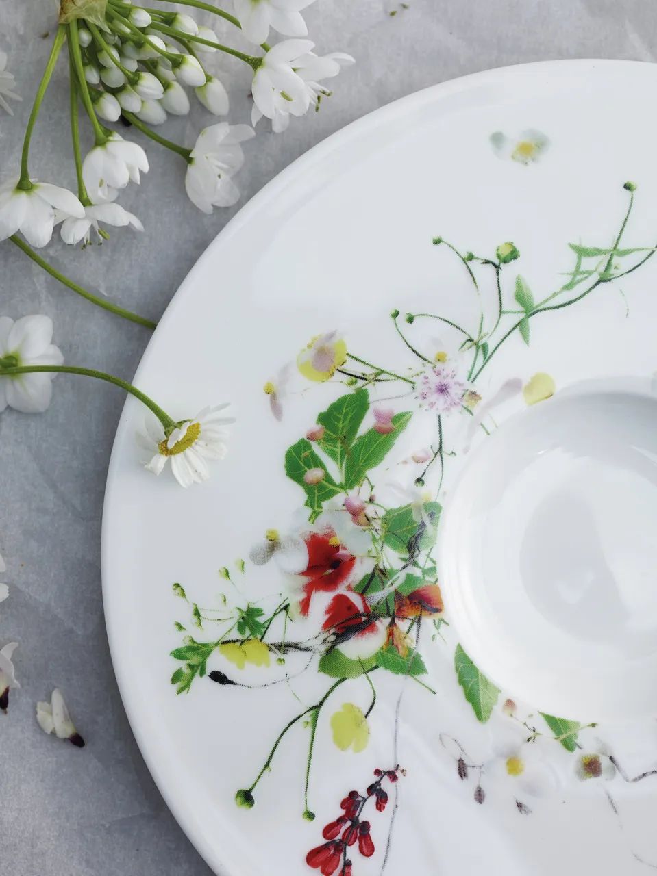 Rosenthal Underkopper Brillance Fleurs Sauvages Underkop i Hvid / Multifarvet, 2
