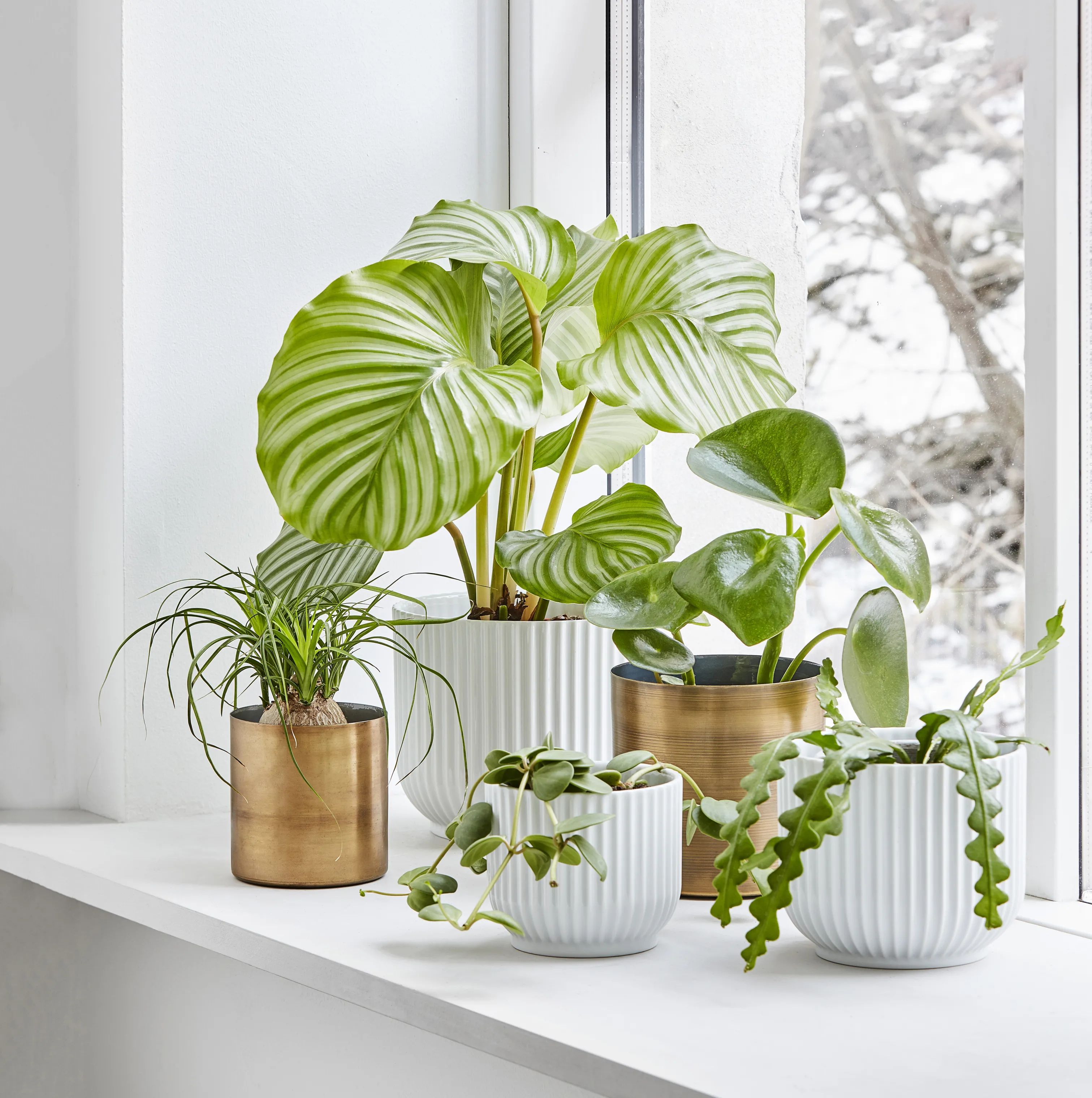 Lyngby Porcelæn Urtepotteskjulere Flowerpot Urtepotteskjuler i Hvid, 13 cm, 2