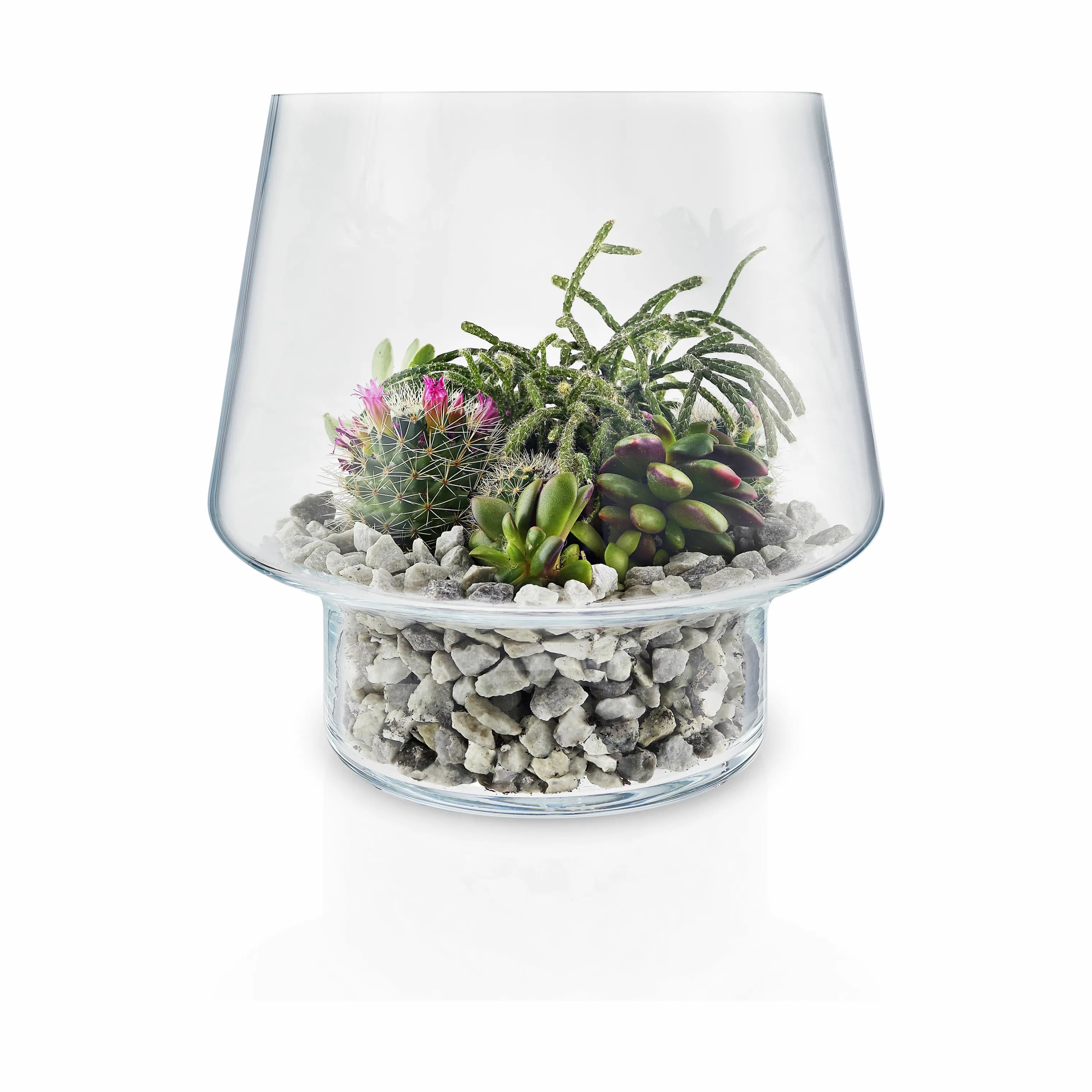 Eva Solo Vaser Sukkulent Vase i Klar, 20,7 cm, 1