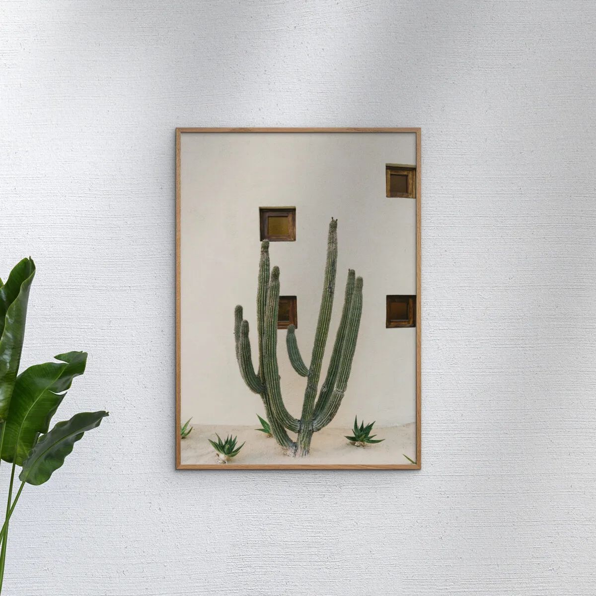 Poster&Frame Plakater Plakat - Cabo cactus i B21 x L29,7 cm, 2