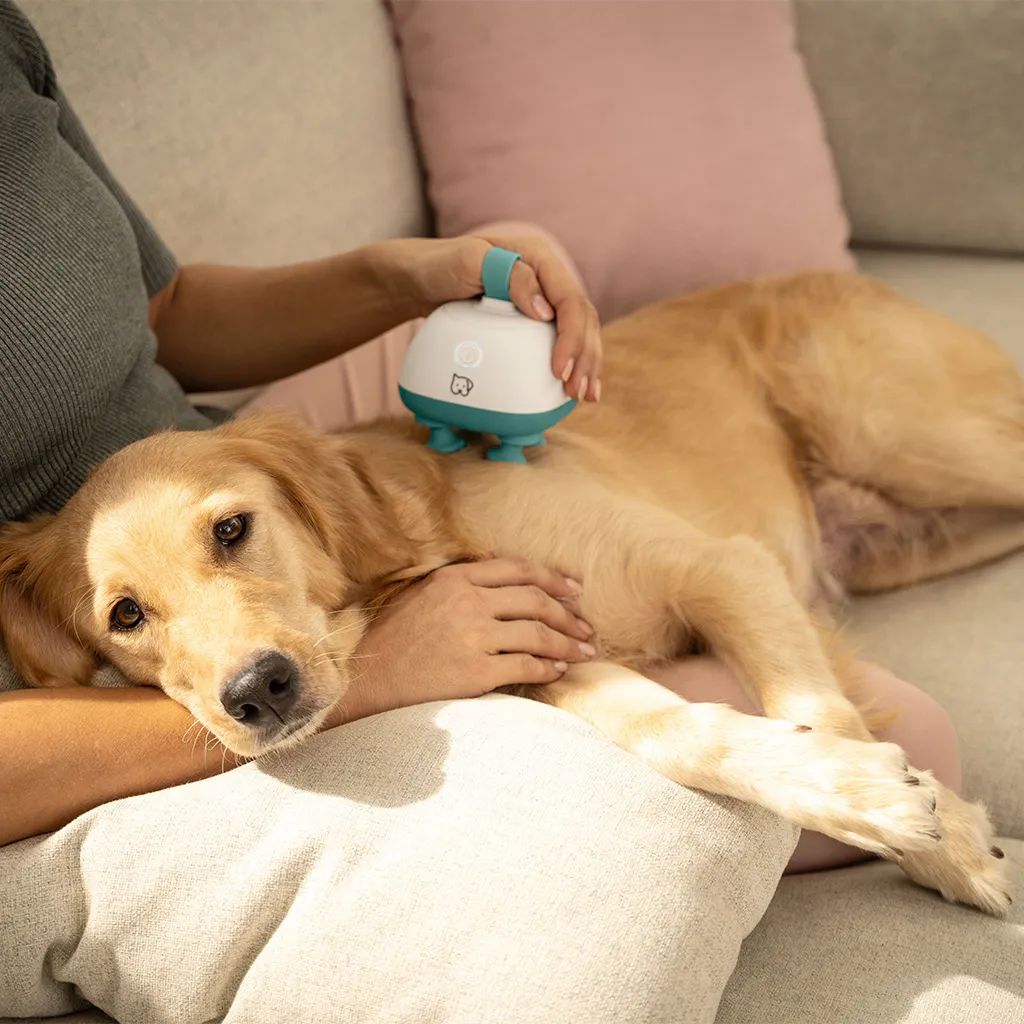 Beurer Massageapparater PetCare PP410 Buddy Massageapperat til Kæledyr i Hvid, ocean, 5
