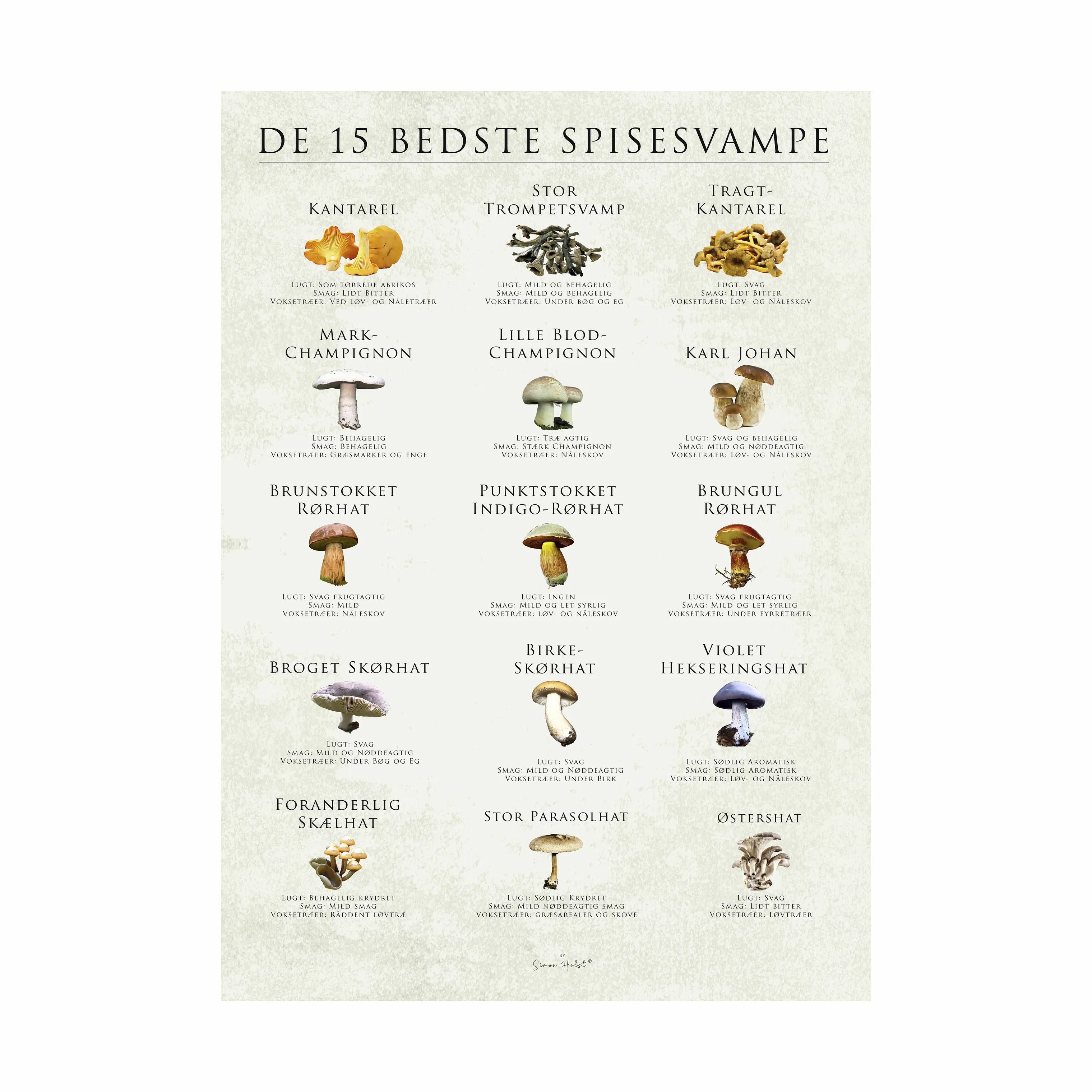 Poster&Frame Plakater plakat - De 15 bedste spisesvampe i B50 x L70 cm, 1