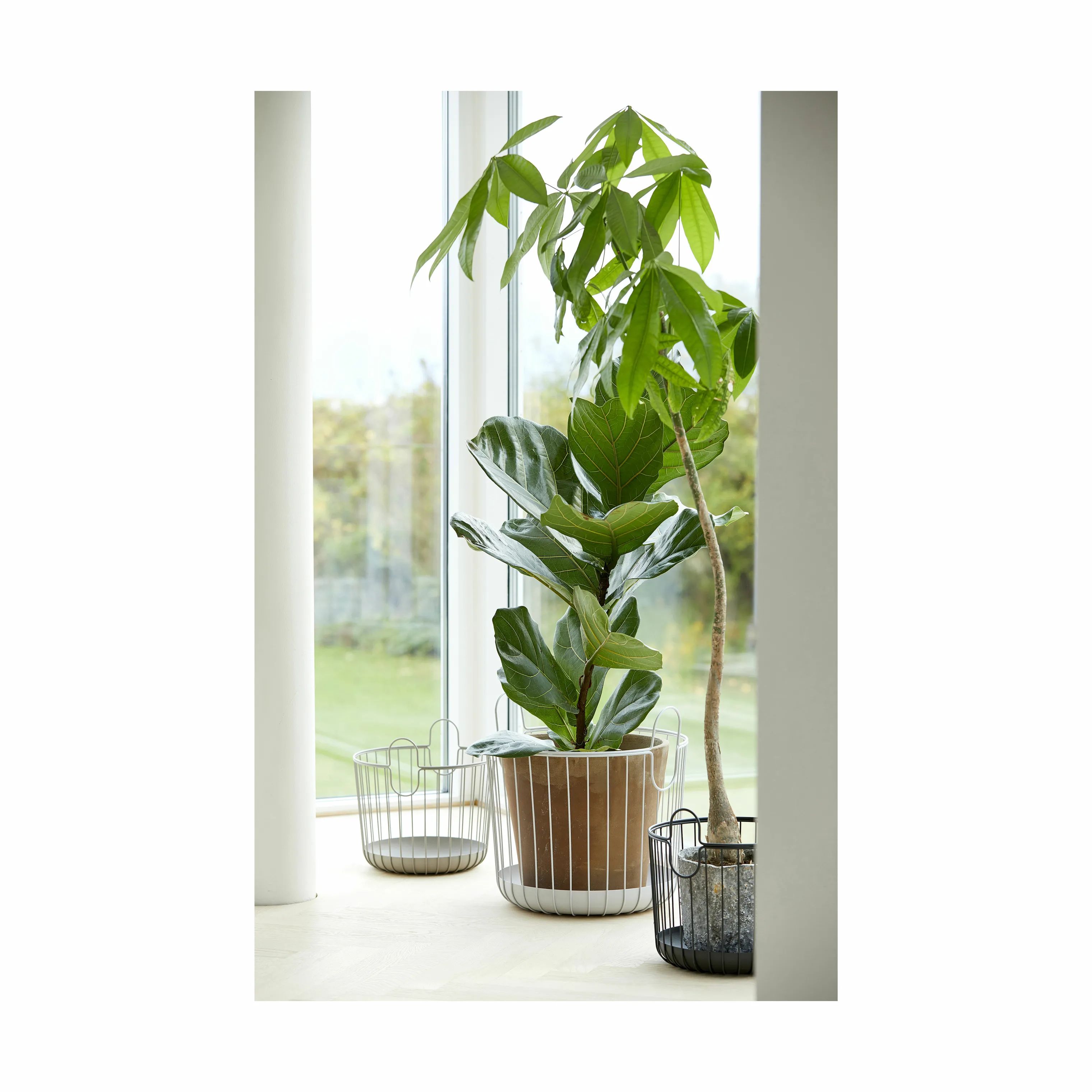 Zone Kurve Inu Kurv i Taupe, 30 cm, 3