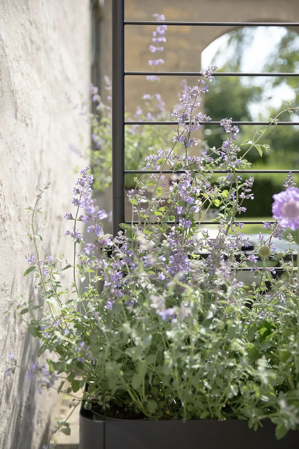Eva Solo Øvrigt haveudstyr Simply Grow Espalier til plantekasse i H102 x B70 cm, 3