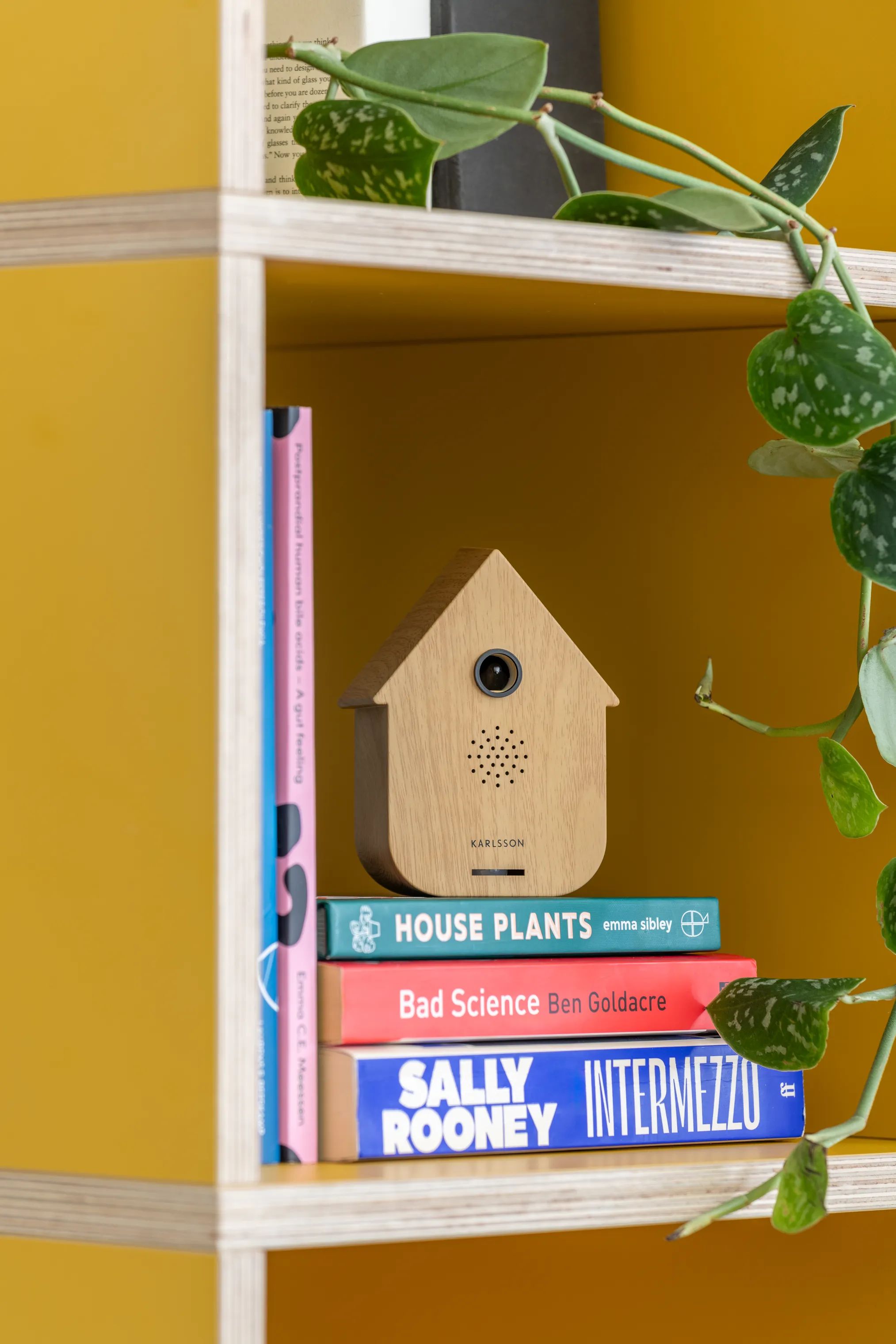 Karlsson Højtalere Modern Cuckoo Soundbox i Wood, 2