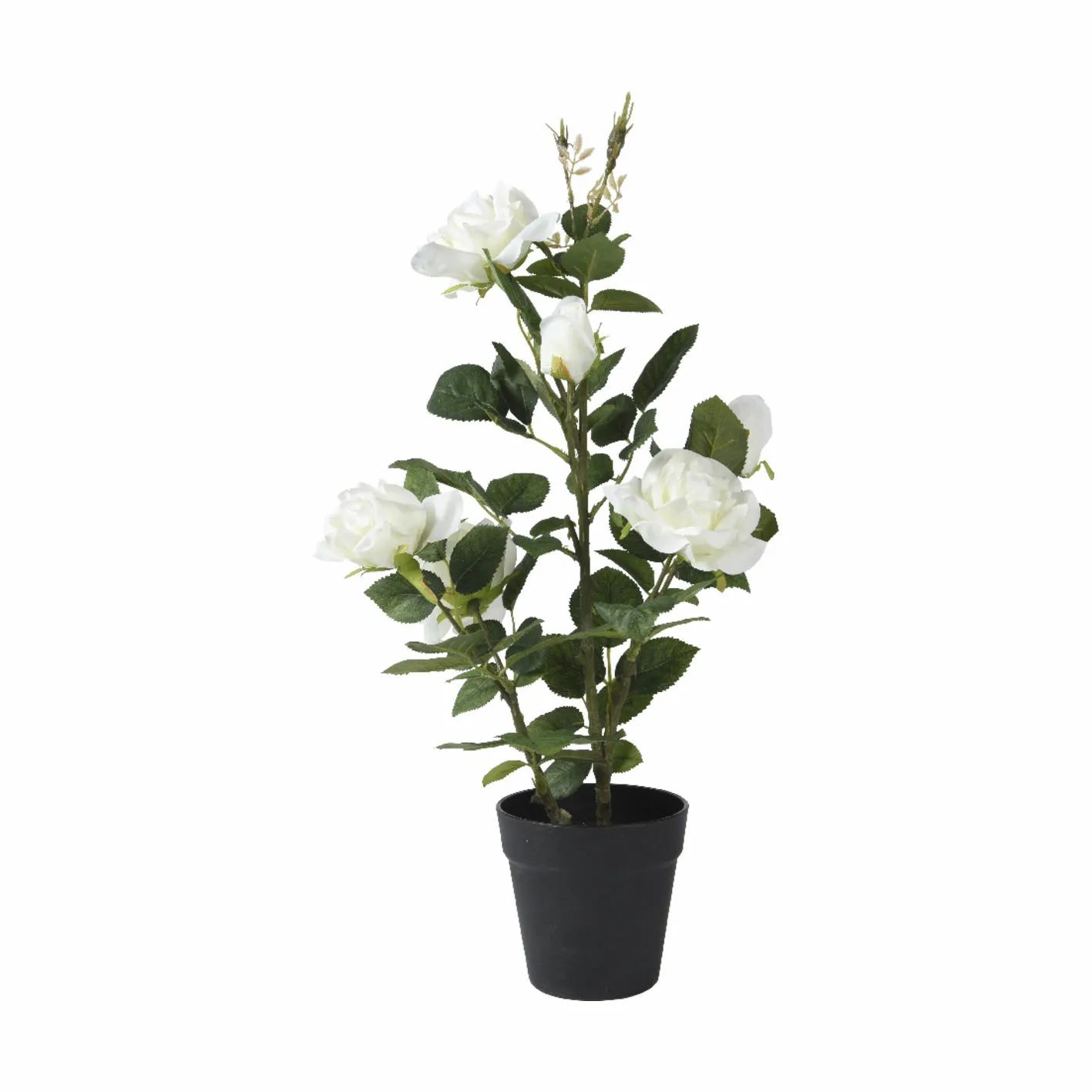 CASA Living Kunstige blomster Kunstig Blomst - Rose I Potte i Hvid, 1