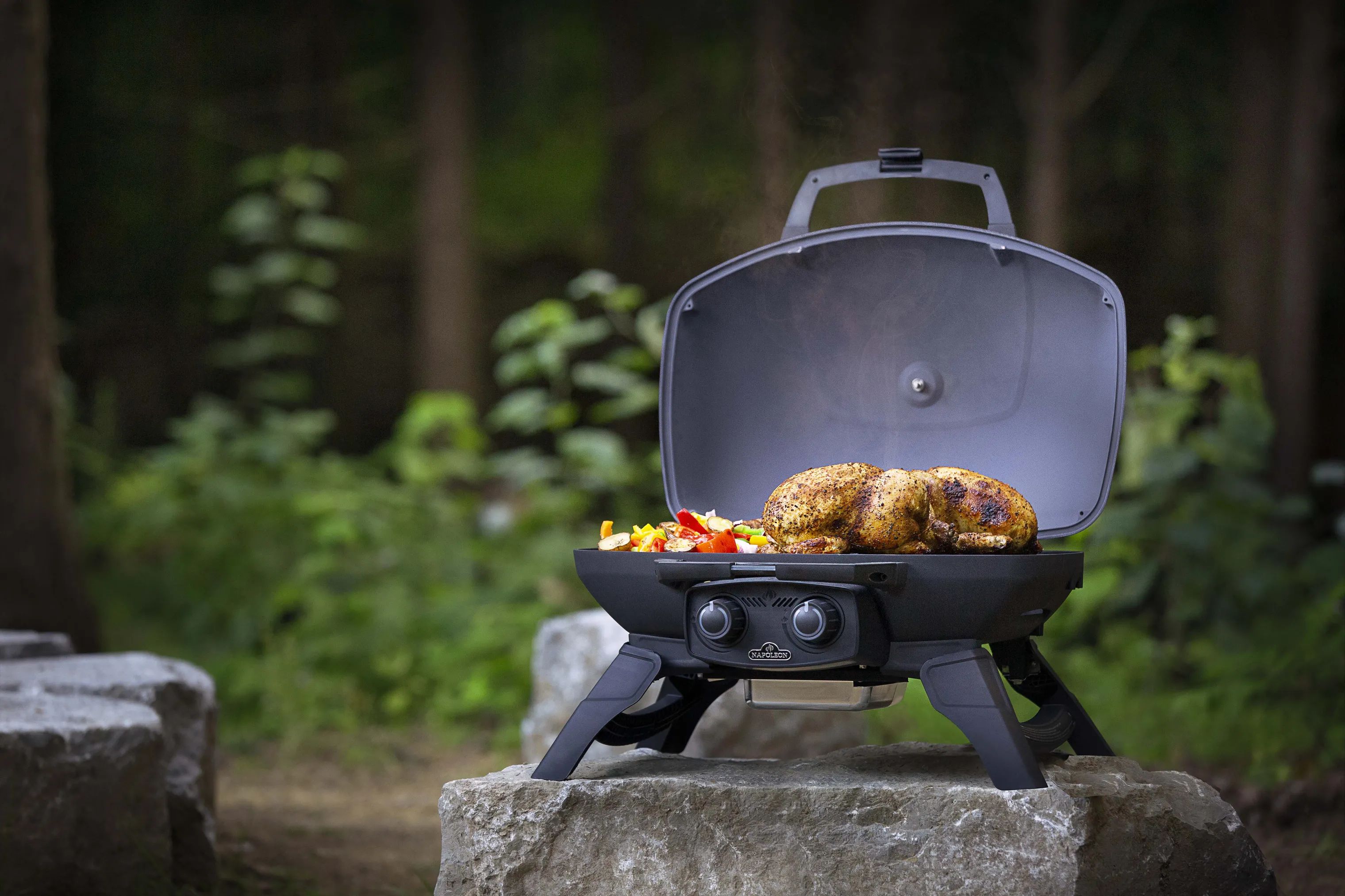 Napoleon Gasgrill TravelQ 285 Gasgrill i sort, 3