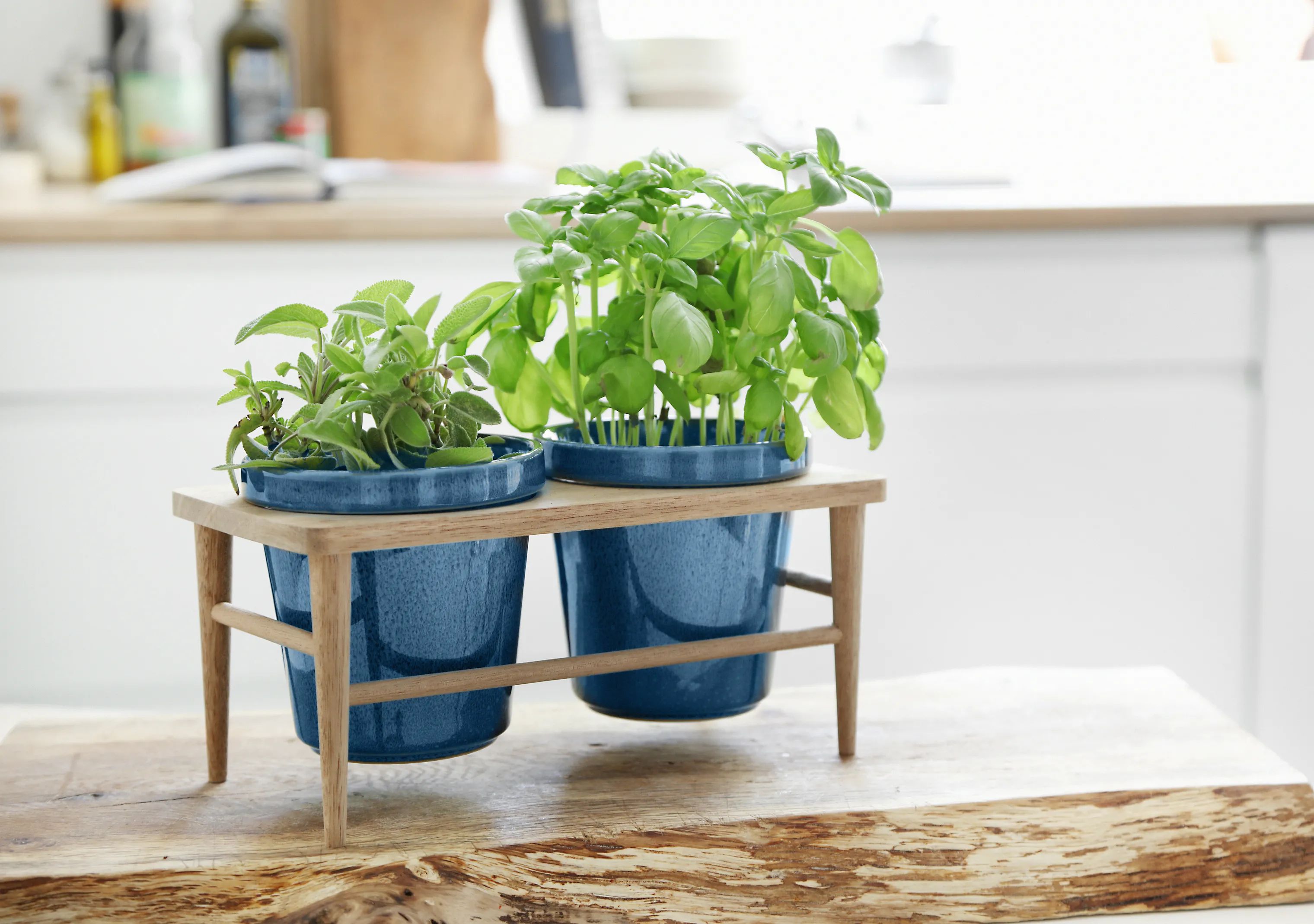 CASA Living Urtepotteskjulere Sofia Urtepottesæt - 3 dele i Blå, 11 cm, 2
