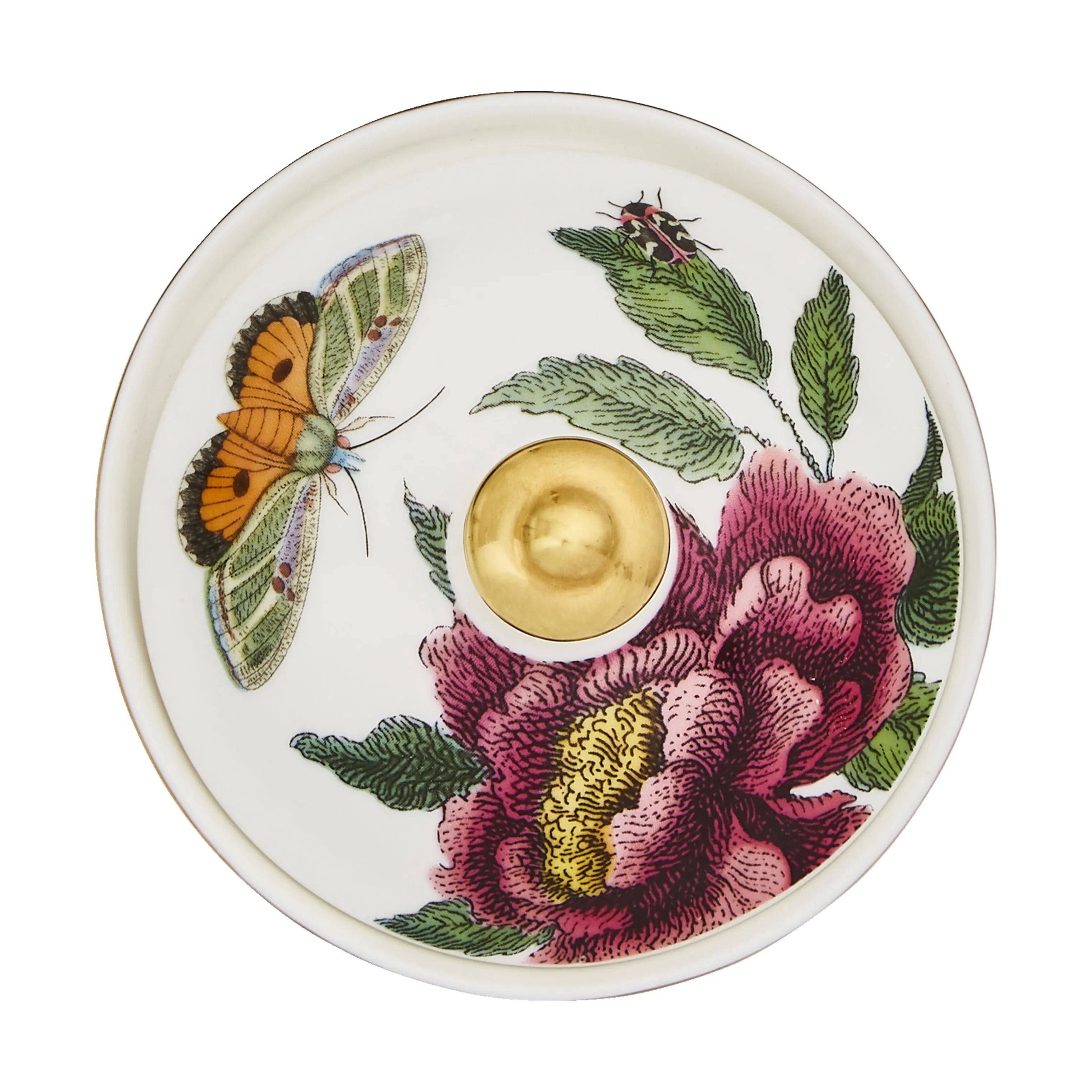 Spode Sukkerskåle Creatures Of Curiosity Sukkerkrukke m. låg i sort/hvid/Lyserød/Grøn/guld, 3