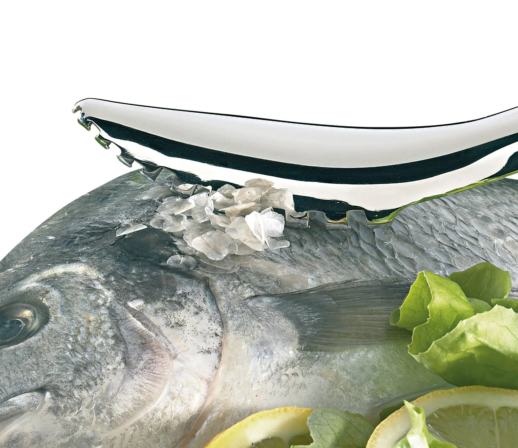 Küchenprofi Øvrigt køkkengrej Fiskeskælskraber i Grå, 2