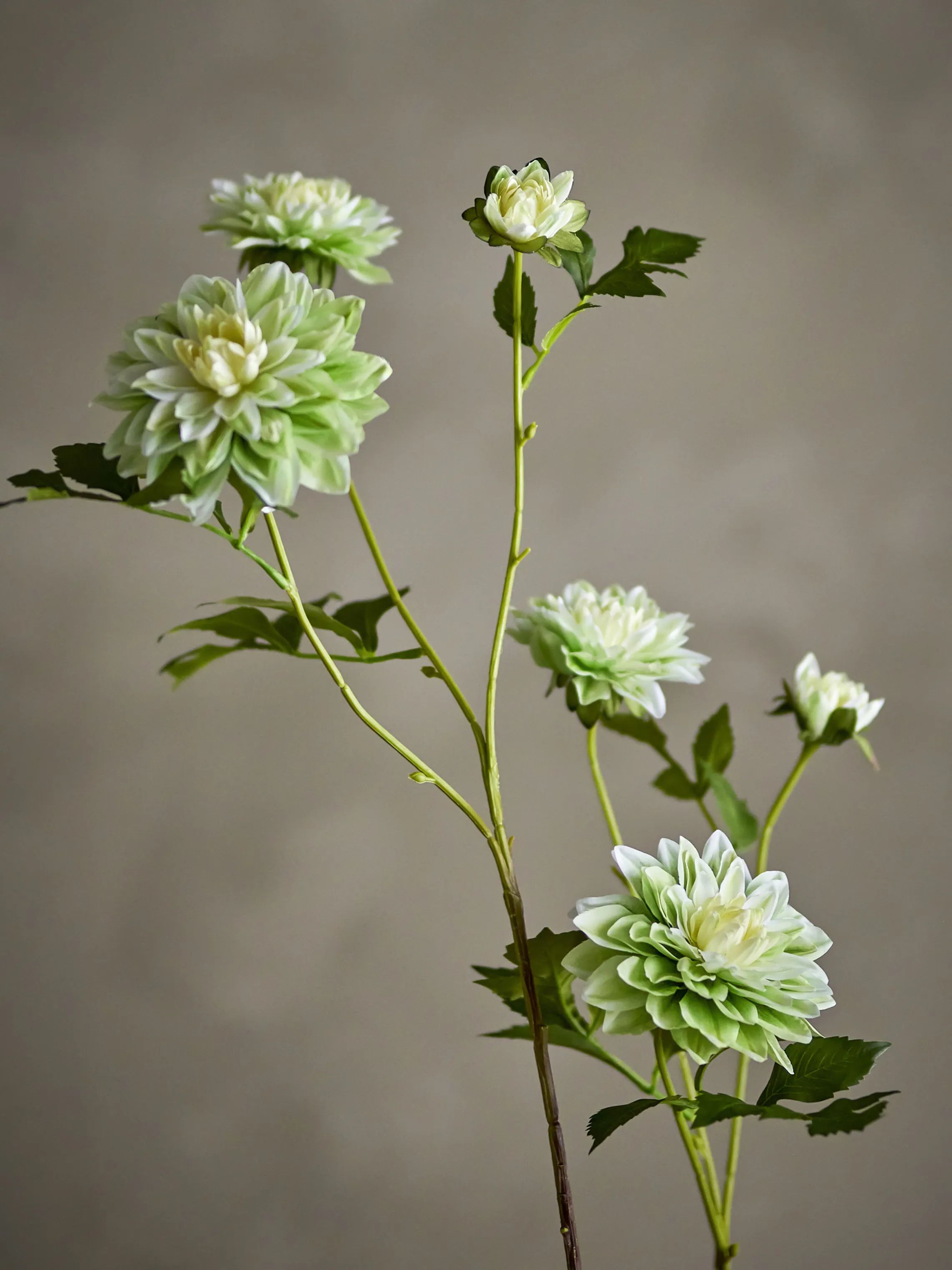 Bloomingville Kunstige blomster Kunstig blomst - Chrysantemum stilk i Hvid/grøn, 2