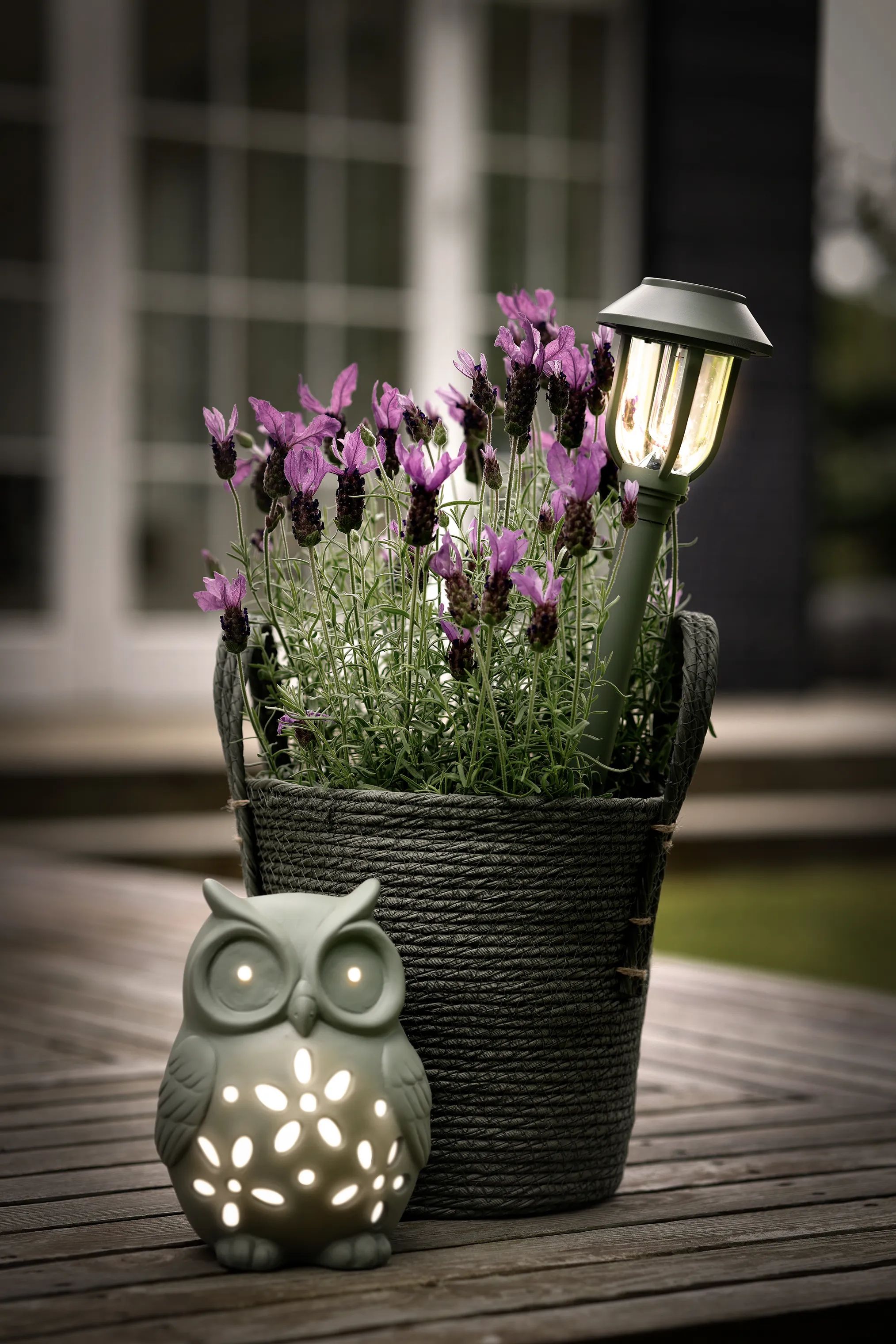 CASA Living Lanterner LED Solcellelampe - Ugle i Grøn, 2