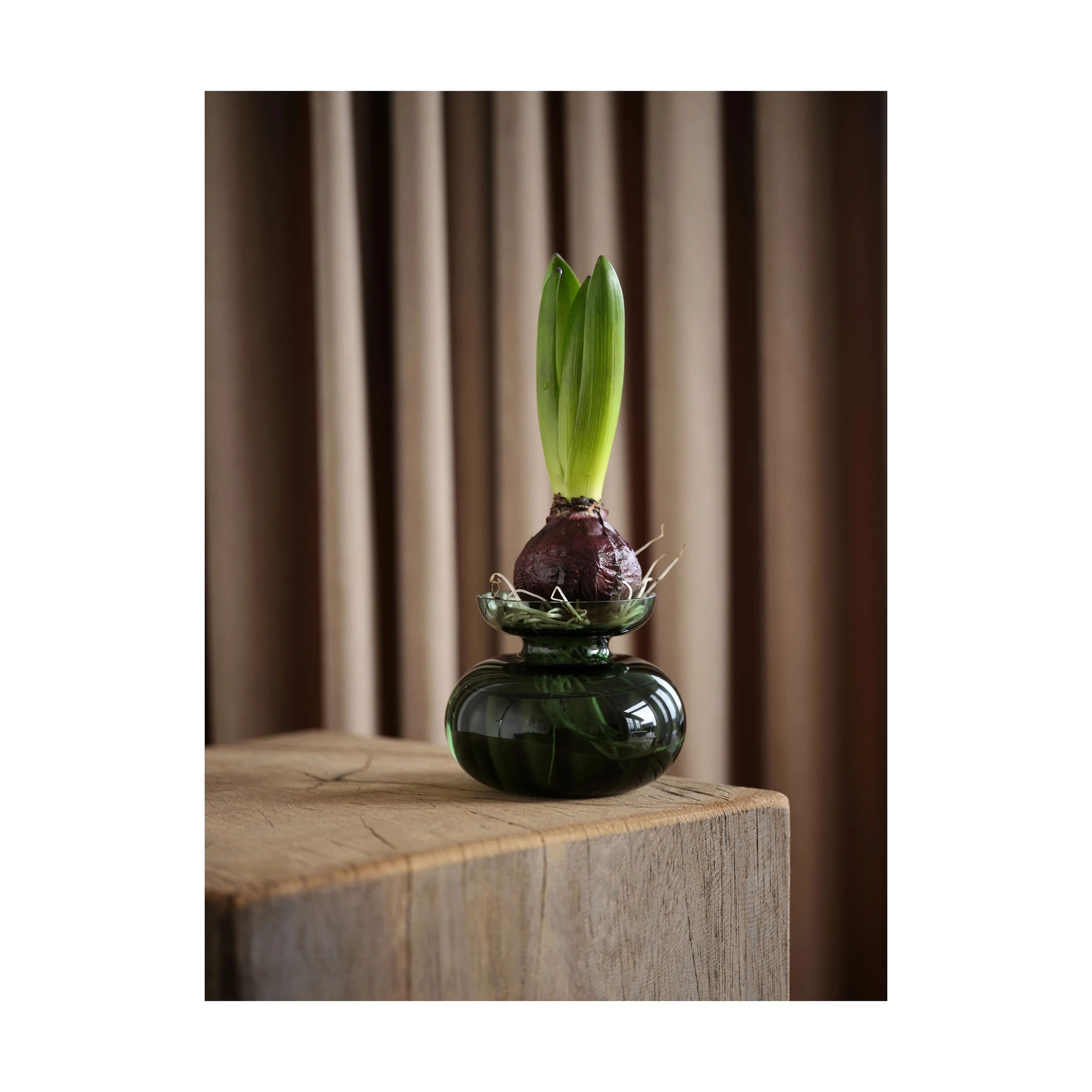 Zone Vaser Inu Vase i Moss Green, 4