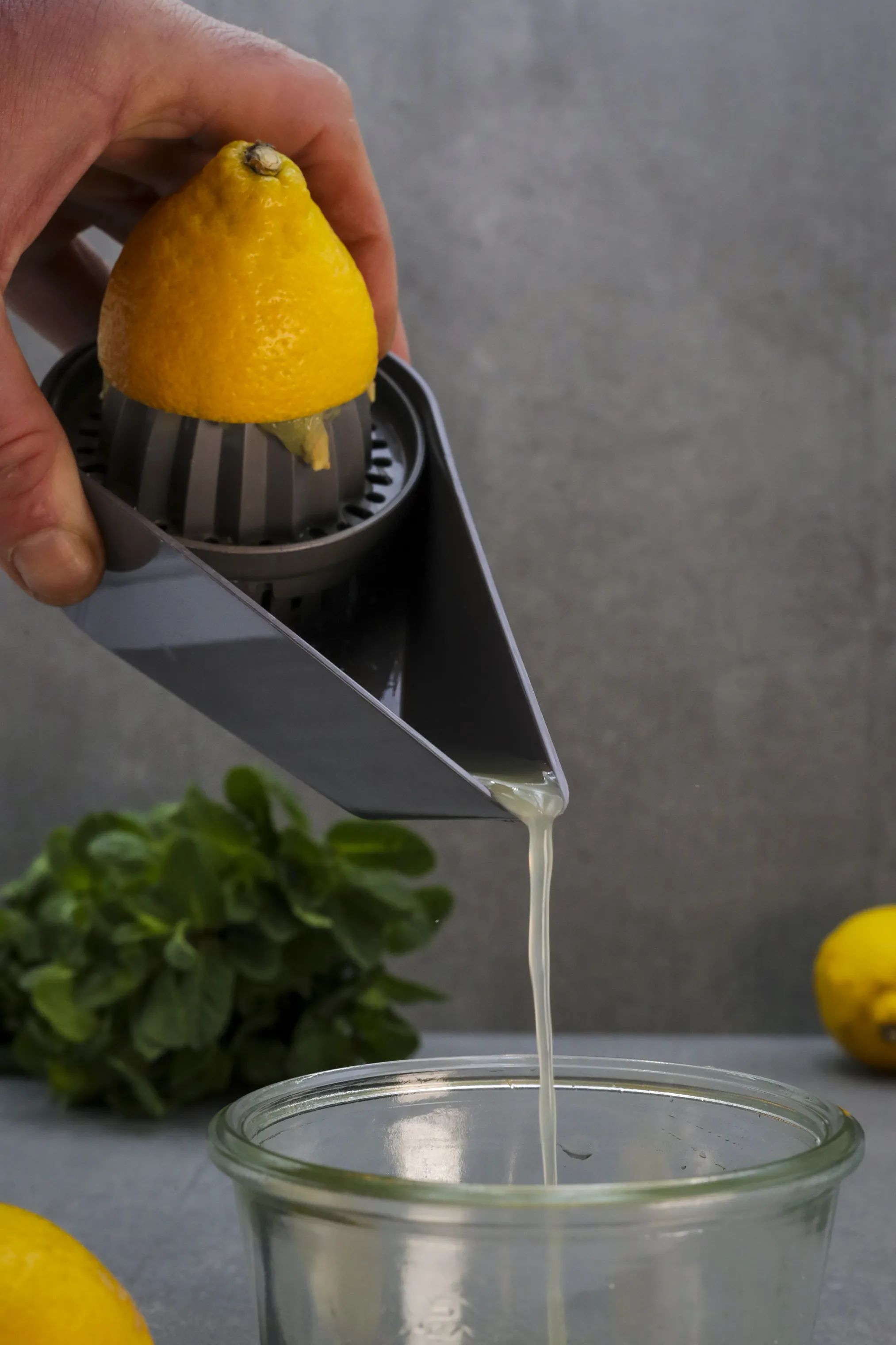Endeavour Citruspressere Citruspresser i Grå, 5