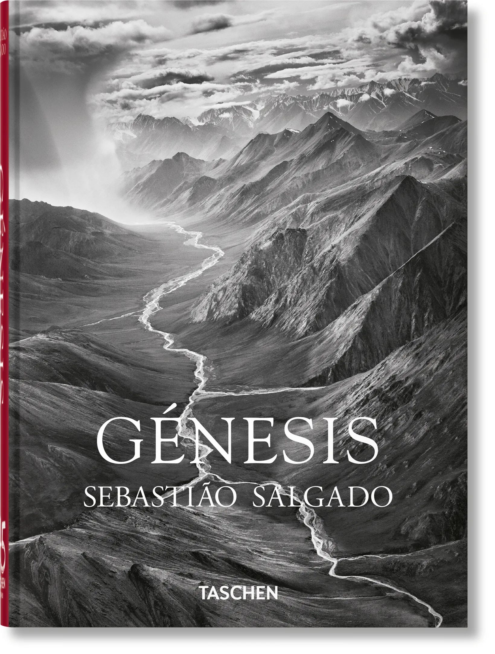 Taschen Bøger GENESIS i Grå, 1