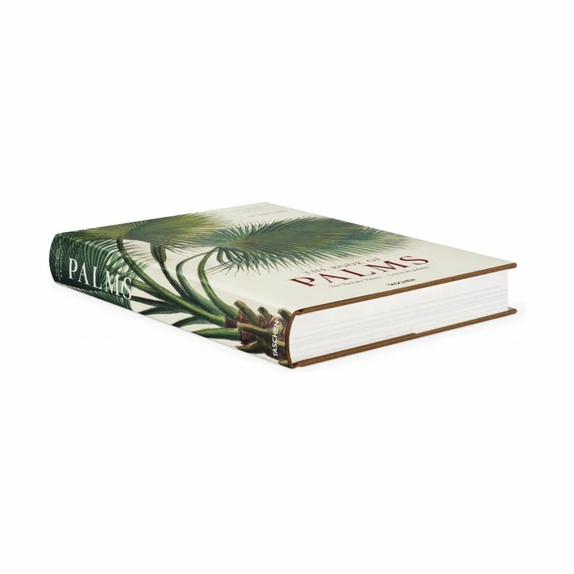 New Mags Øvrige bøger The Book of Palms - Af H. Walter Lack i Grøn, 2