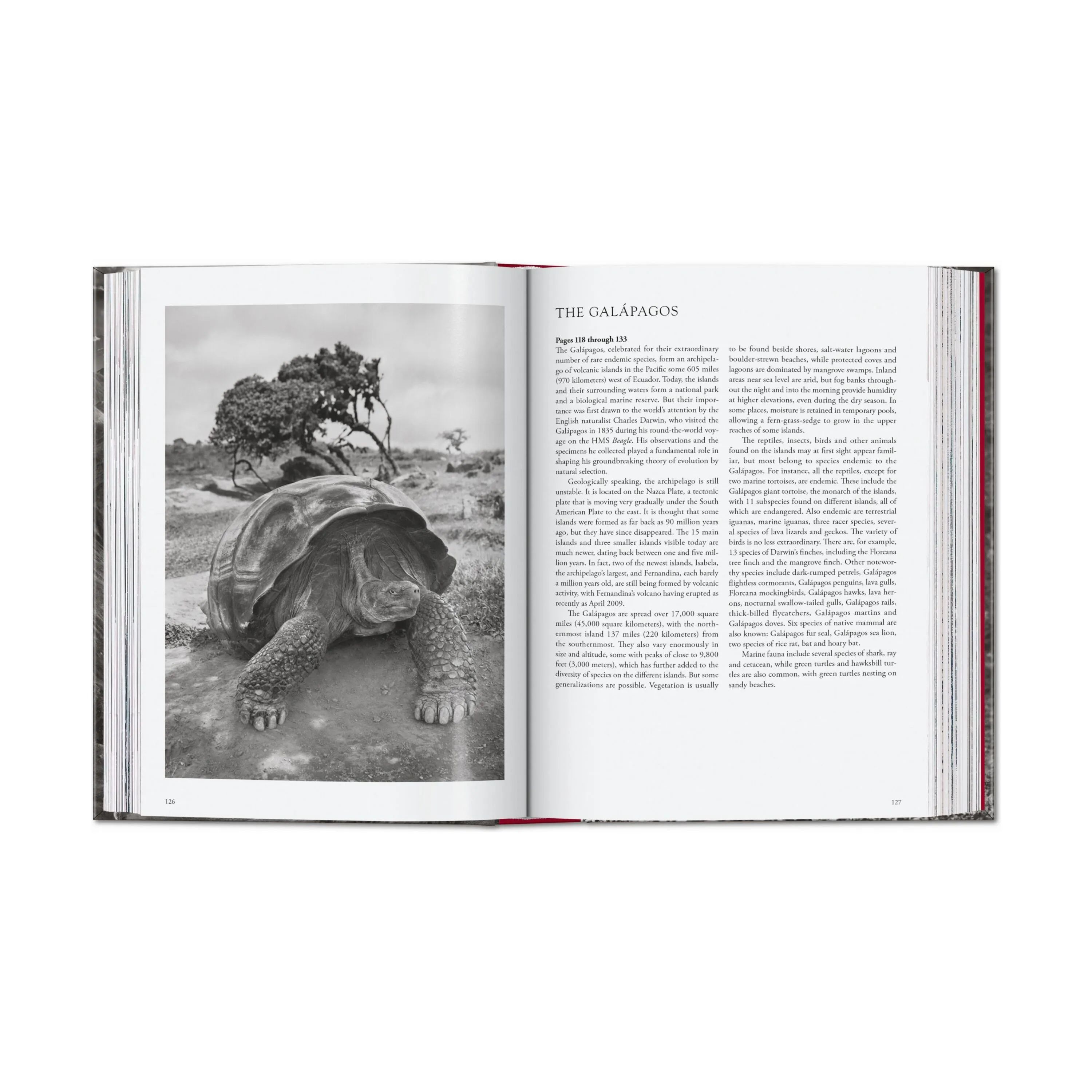 Taschen Bøger GENESIS i Grå, 2