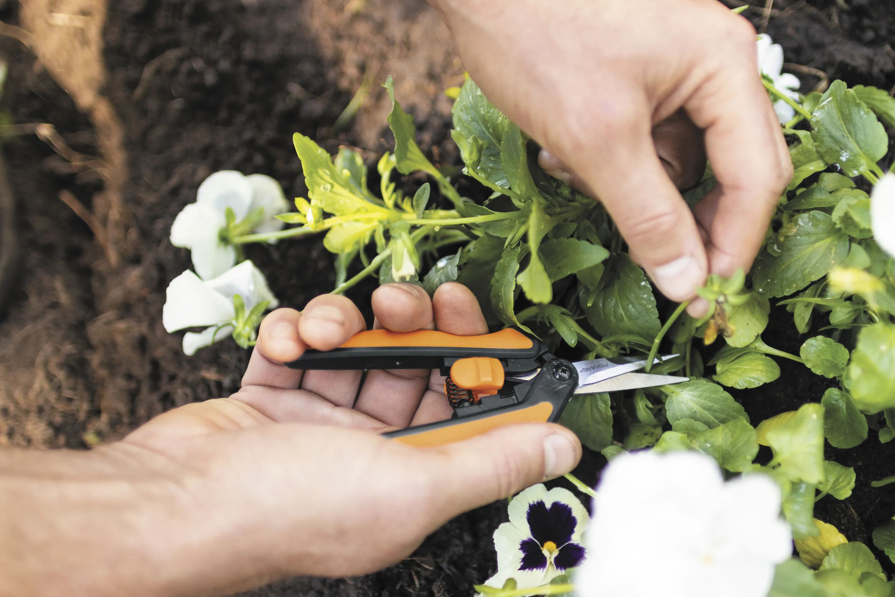 Fiskars Garden Haveredskaber Fiskars Solid™ Solid Beskæresaks i Sort/orange, 3