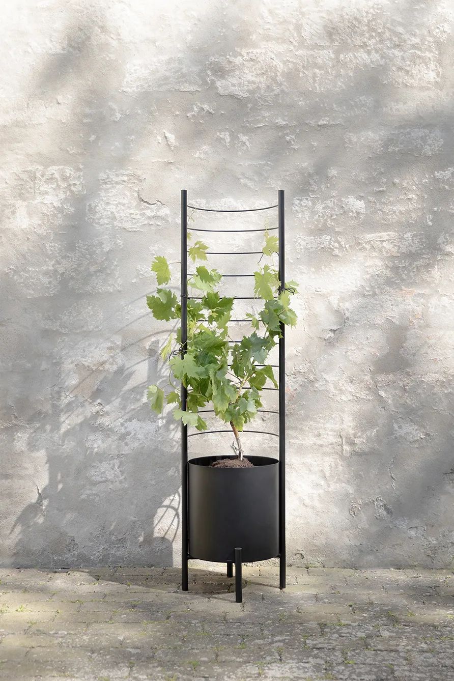 Eva Solo Øvrigt haveudstyr Simply Grow Espalier til potteskjuler i H145 x B42 cm, 6