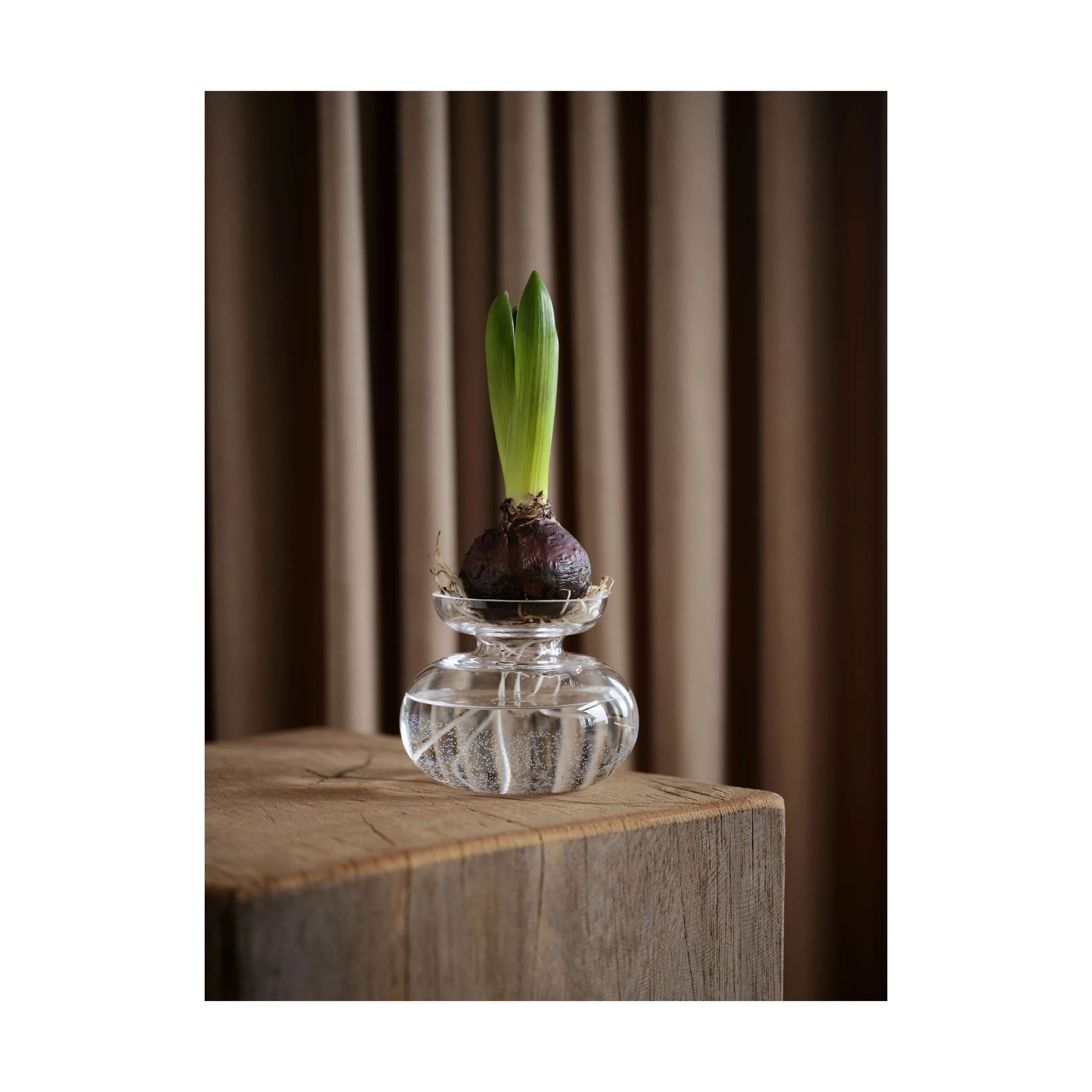 Zone Vaser Inu Vase i Pure Clear, 4