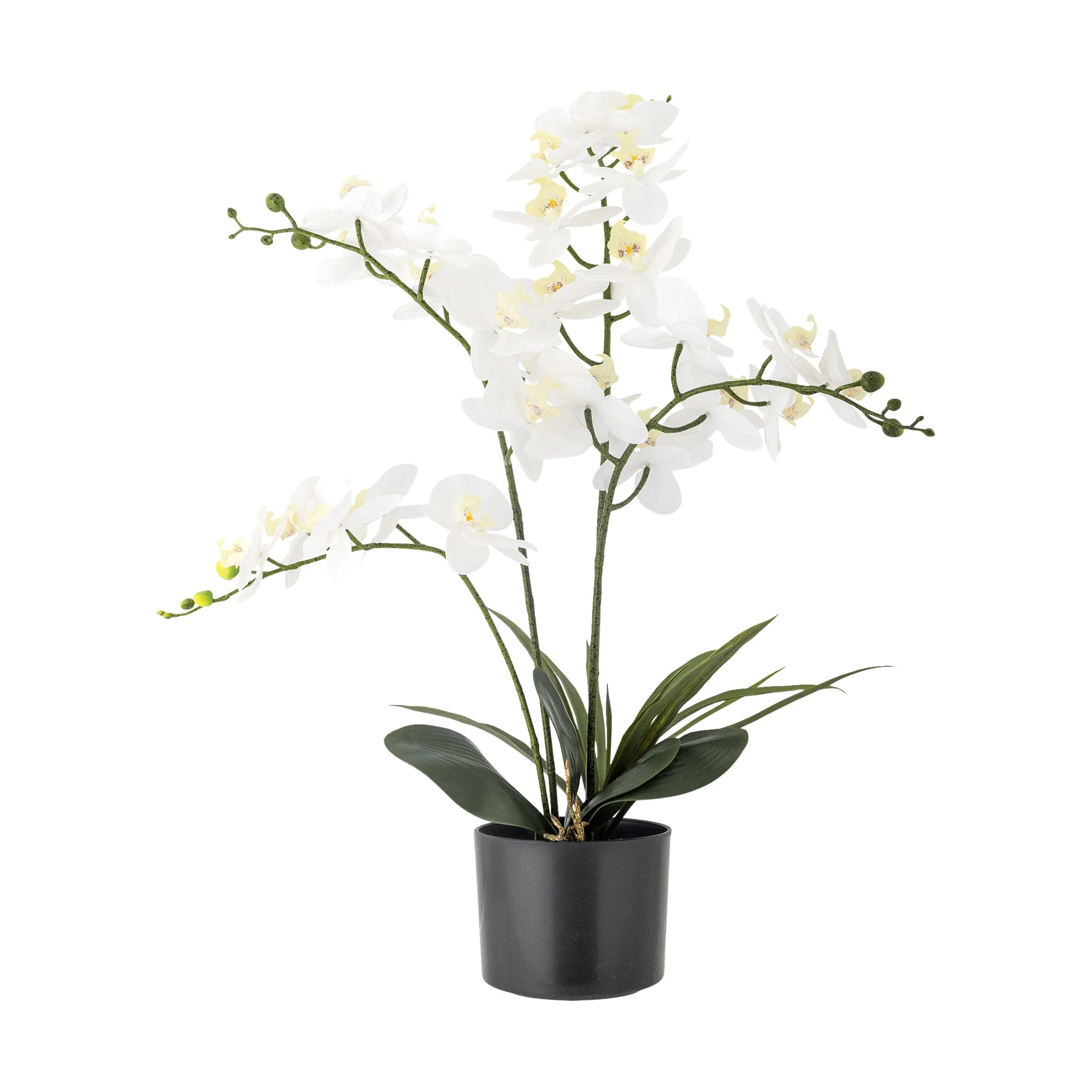Bloomingville Øvrigt interiør Kunstig Plante - Orchid i Grøn, 1