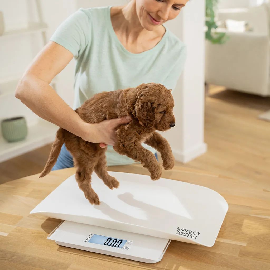 Beurer Bagevægte PetCare PP170 Polly Kæledyrsvægt i Hvid, 3