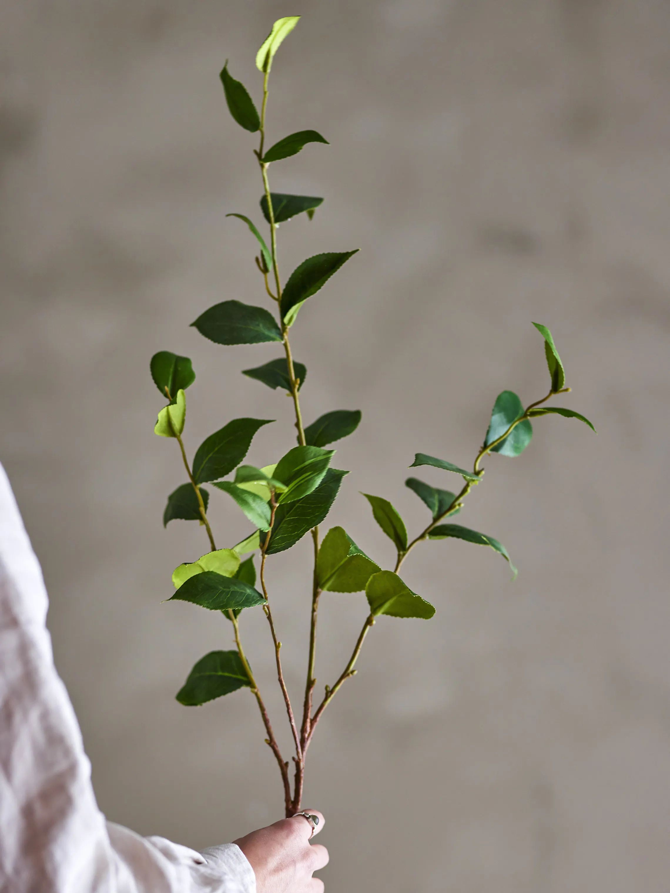 Bloomingville Kunstige blomster Kunstig blomst - Eucalyptus stilk i 110 cm, 2