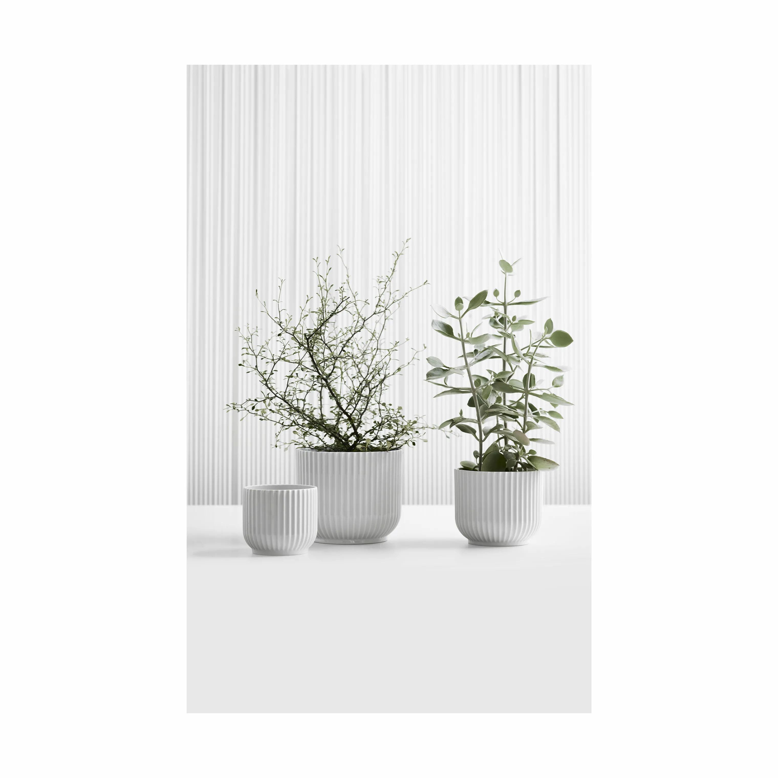 Lyngby Porcelæn Urtepotteskjulere Flowerpot Urtepotteskjuler i Hvid, 16 cm, 4
