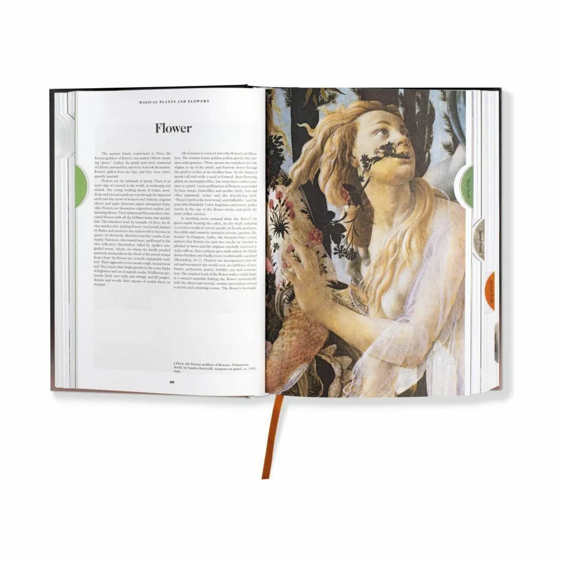 Taschen Coffee table books The Book of Symbols. Reflections on Archetypal Images - Af Carl Gustav Jung i Sort, 4