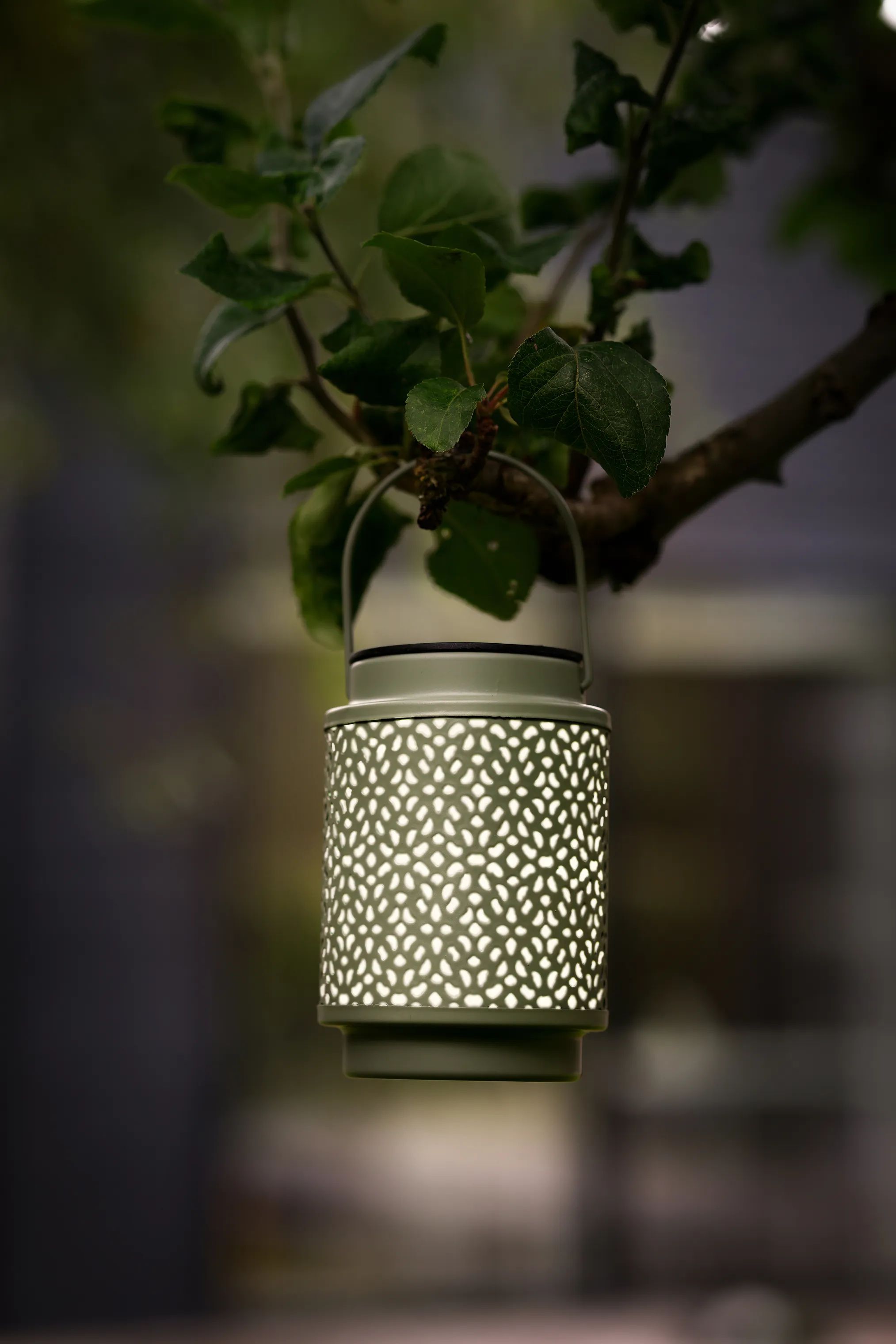 CASA Living Lanterner LED Solar Lanterne i Grøn, 2