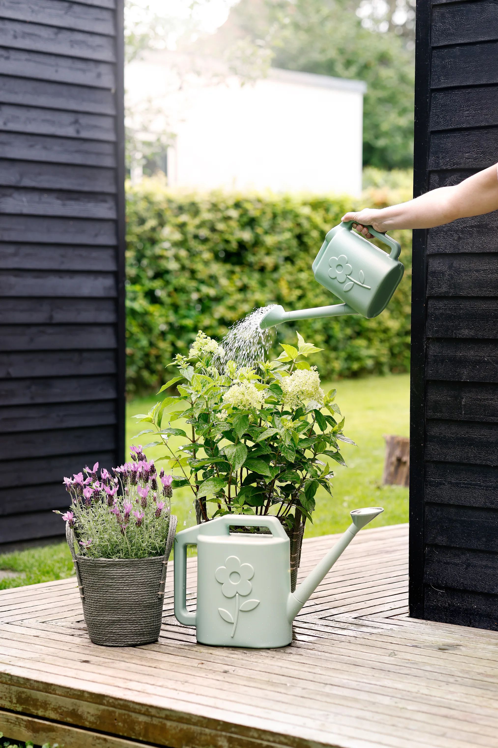 CASA Living Vandkander Vandkande i 2,5 L, 2