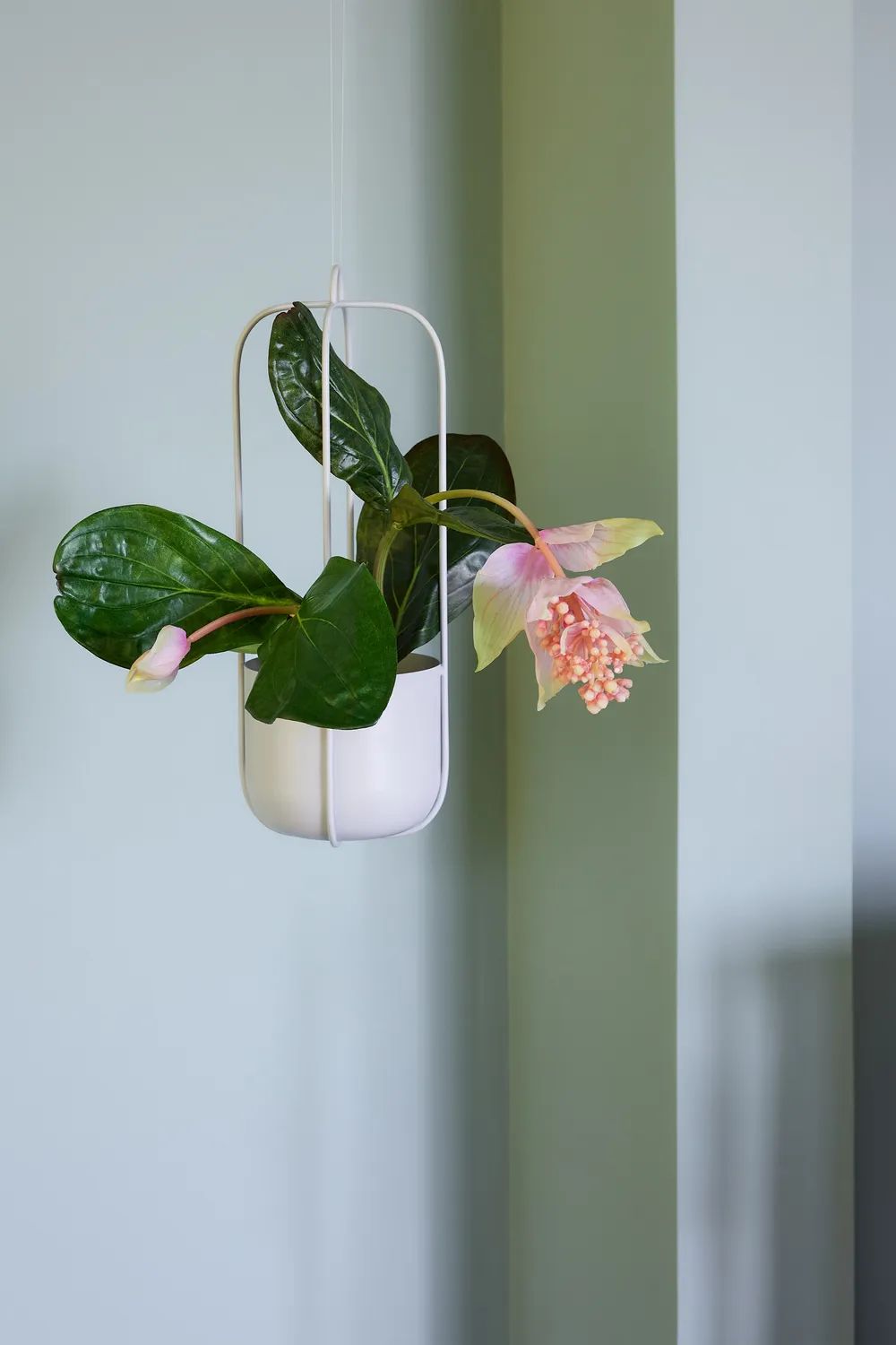 Hübsch Urtepotteskjulere Lotus Hængepotteskjuler i Lysegrå, 2
