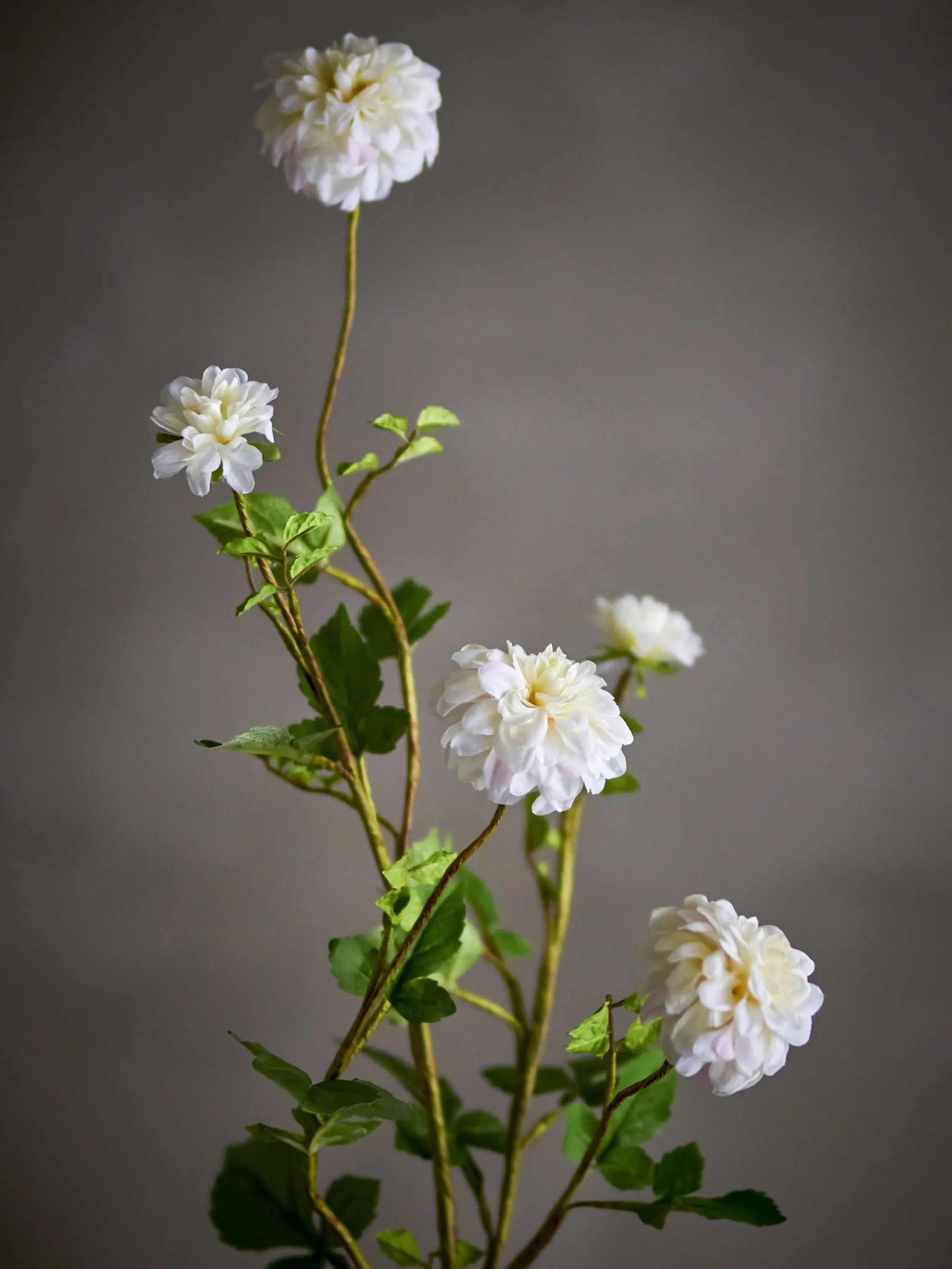 Bloomingville Kunstige blomster Kunstig blomst - Chrysantemum stilk i Hvid, 2