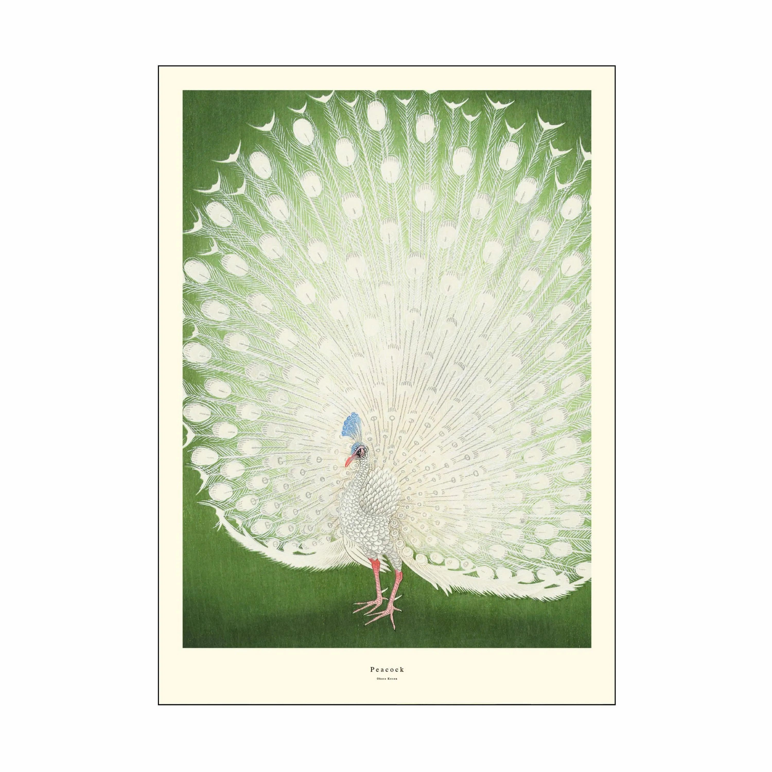 Poster&Frame Plakater Plakat - Peacook i Grøn, B70 x L100 cm, 1