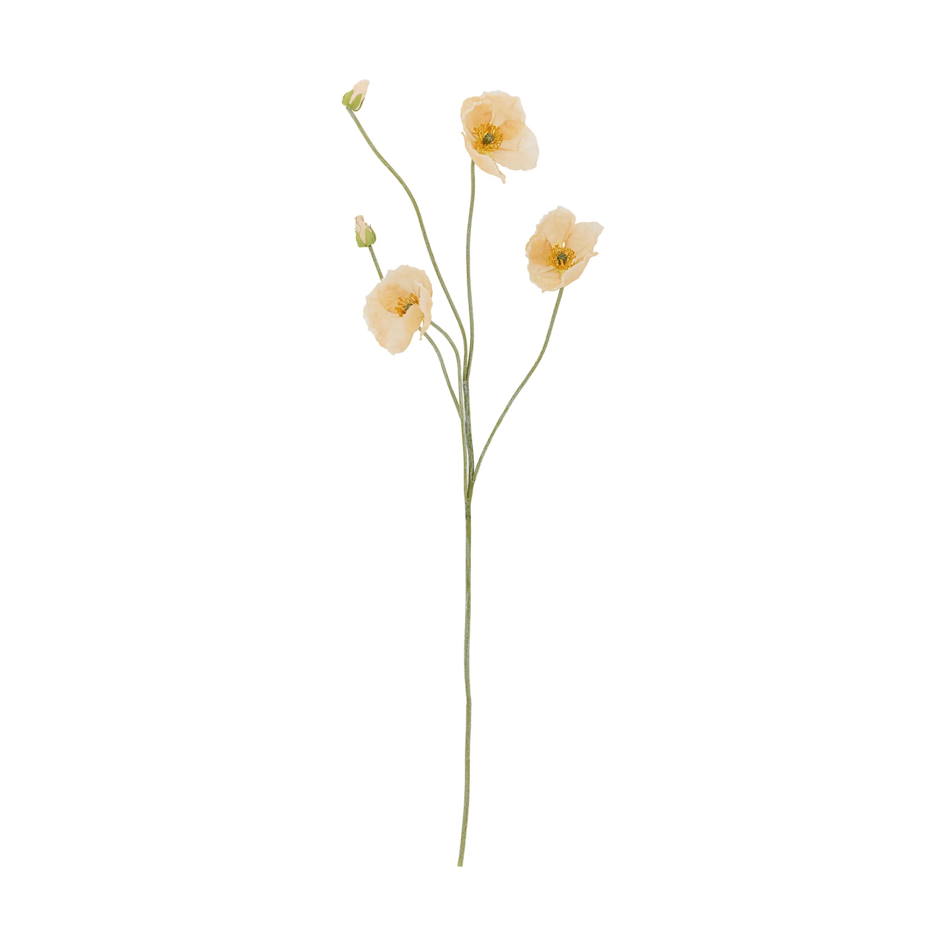 Bloomingville Kunstige blomster Kunstig blomst - Poppy stilk i Natur, 1