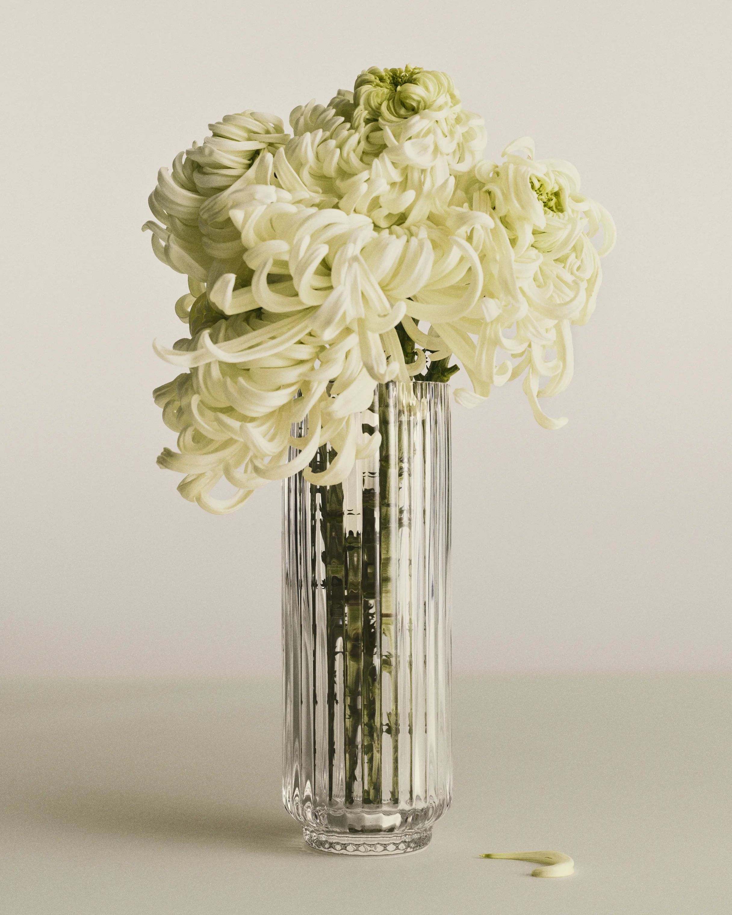 Georg Jensen Vaser Bernadotte Vase i Klar, 3