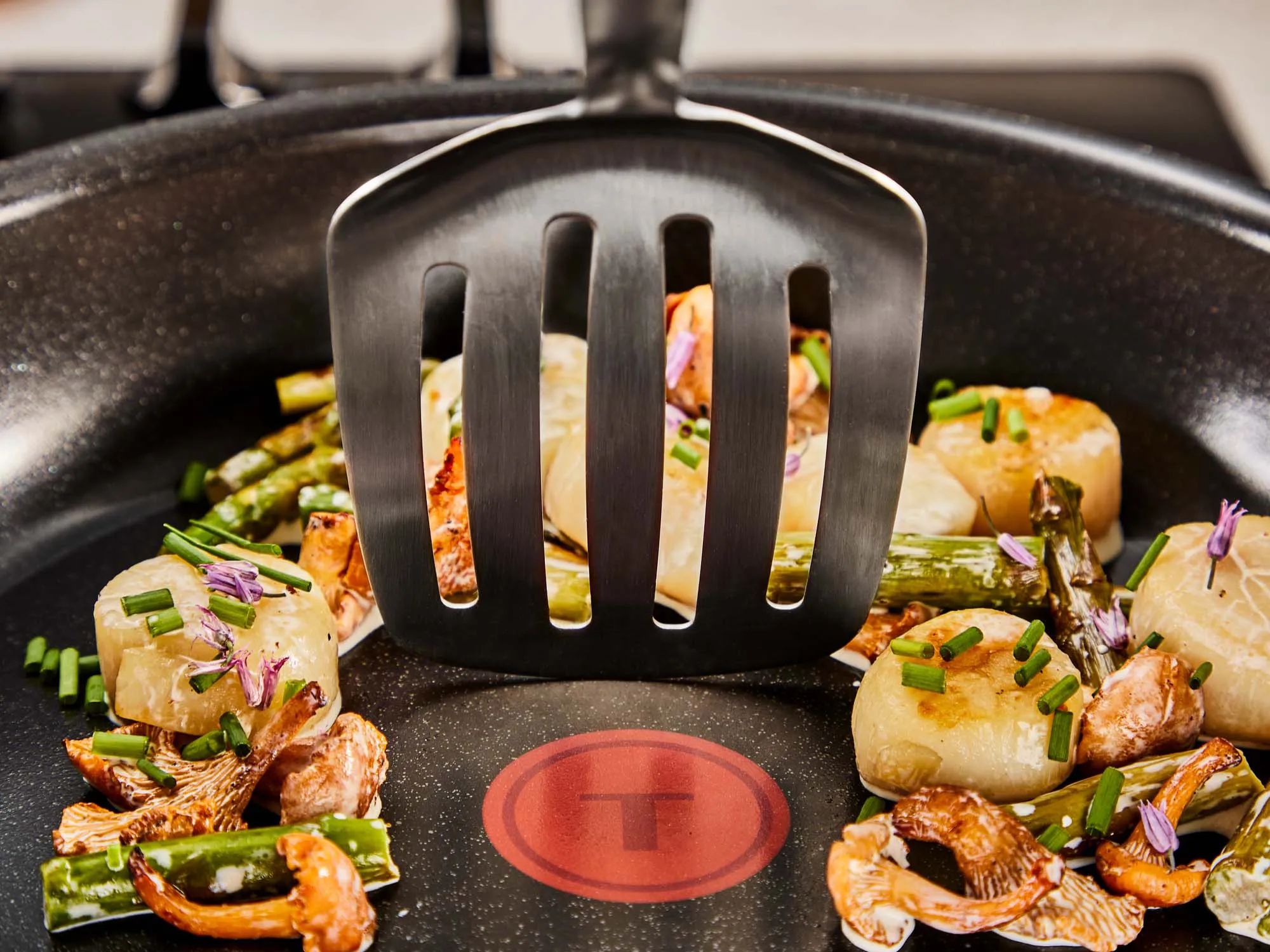 Tefal Stegepander Excellence Plus Stegepande i 24 cm, 2