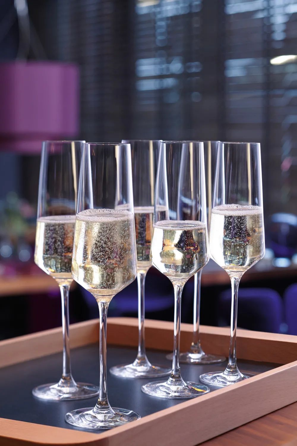 Leonardo Champagneglas Puccini Champagneglas - 6 stk. i Klar, 3