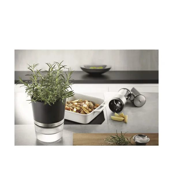 Gefu Urtepotteskjulere Botanico Krydderurtepotte i Sort, 2